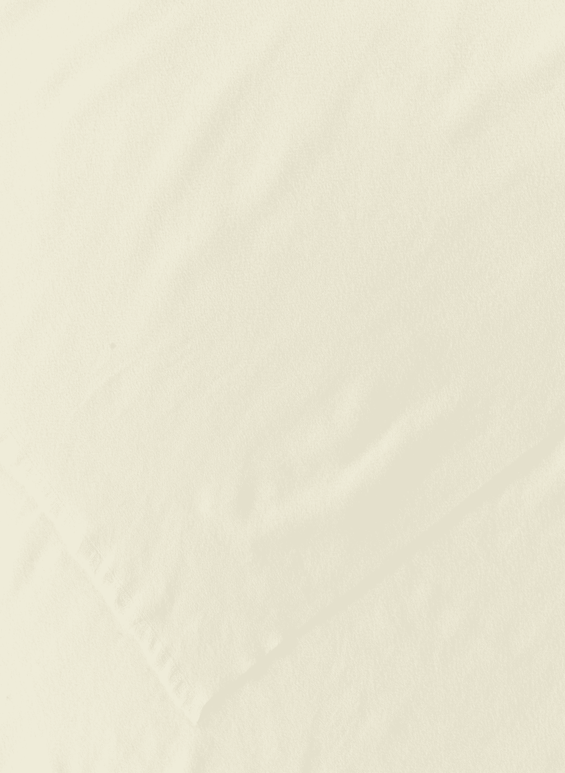Soft Solid Scarf AU PRINTEMPS PARIS Beige