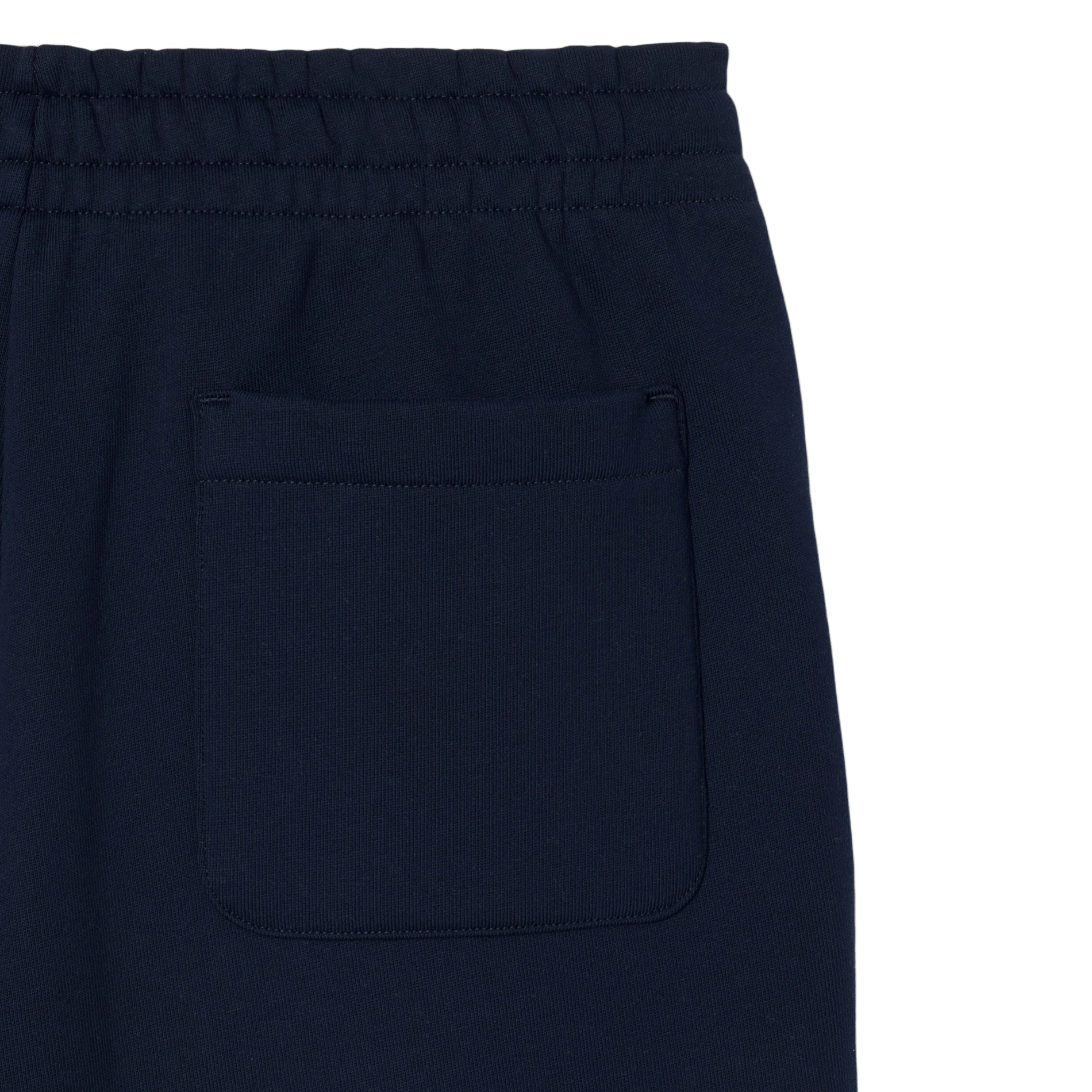 Straight cotton track pants LACOSTE Blue