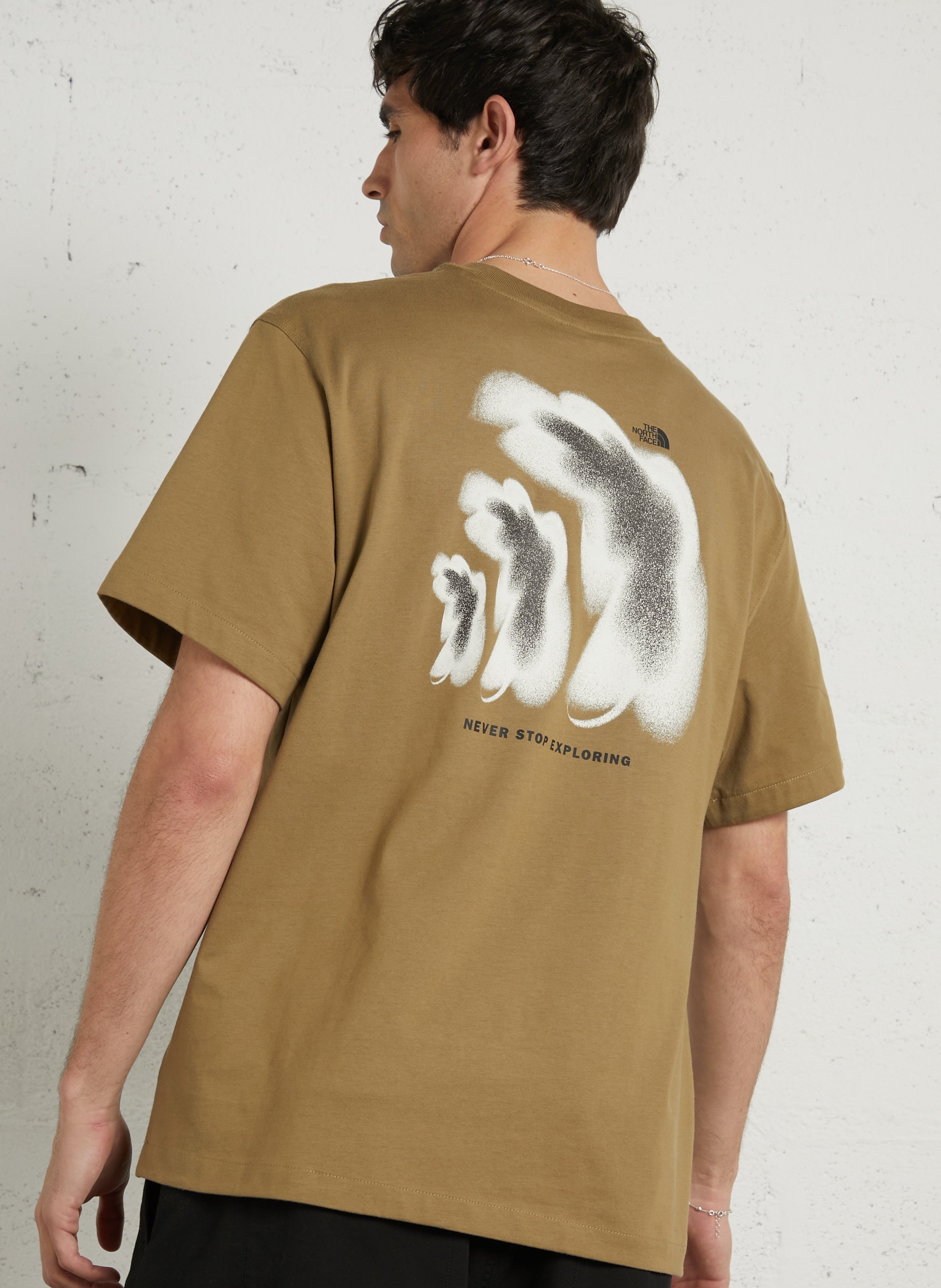 Straight round-neck cotton T-shirt with screen print THE NORTH FACE Brown