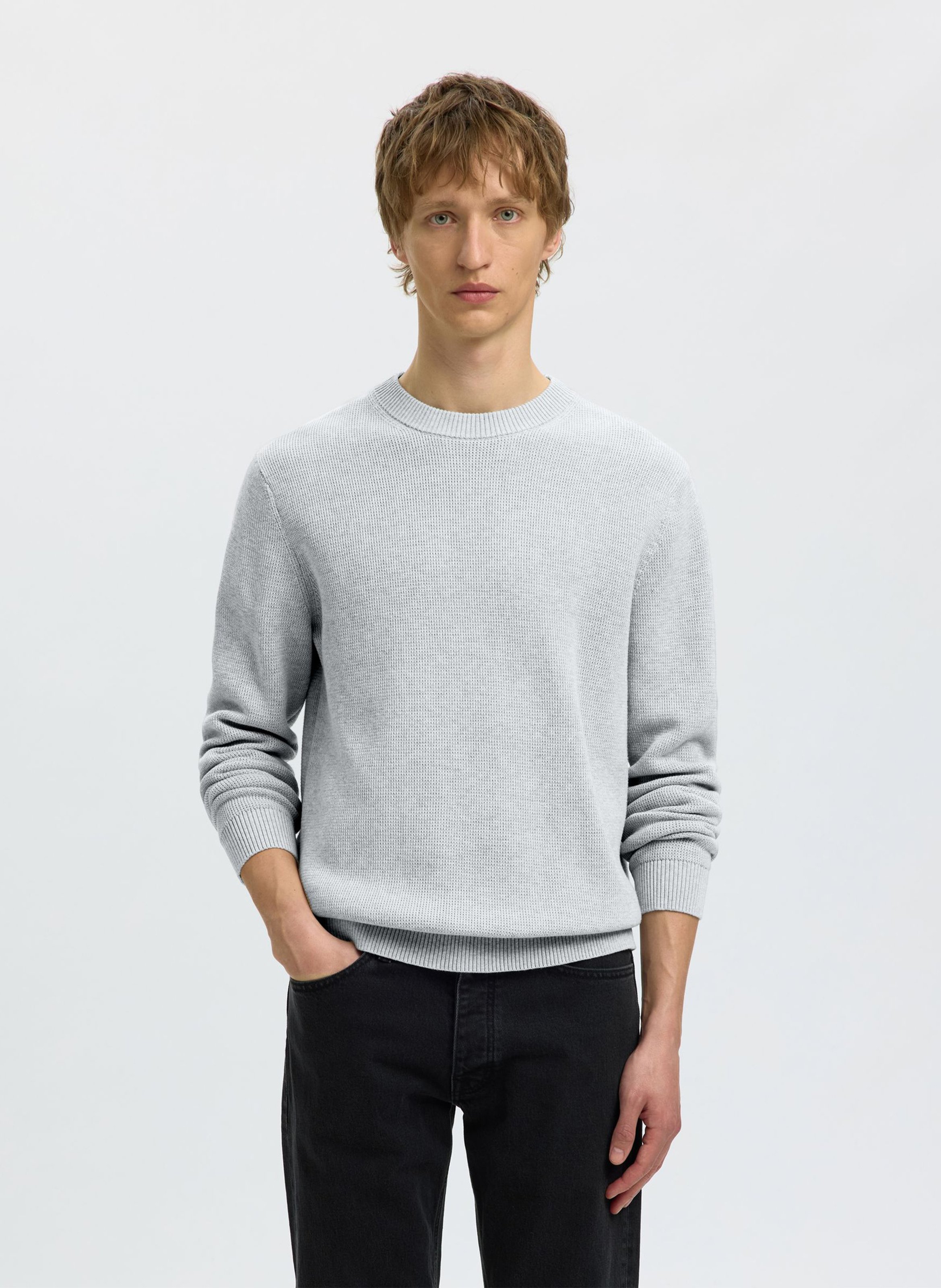 Pull col rond en coton bio  SELECTED