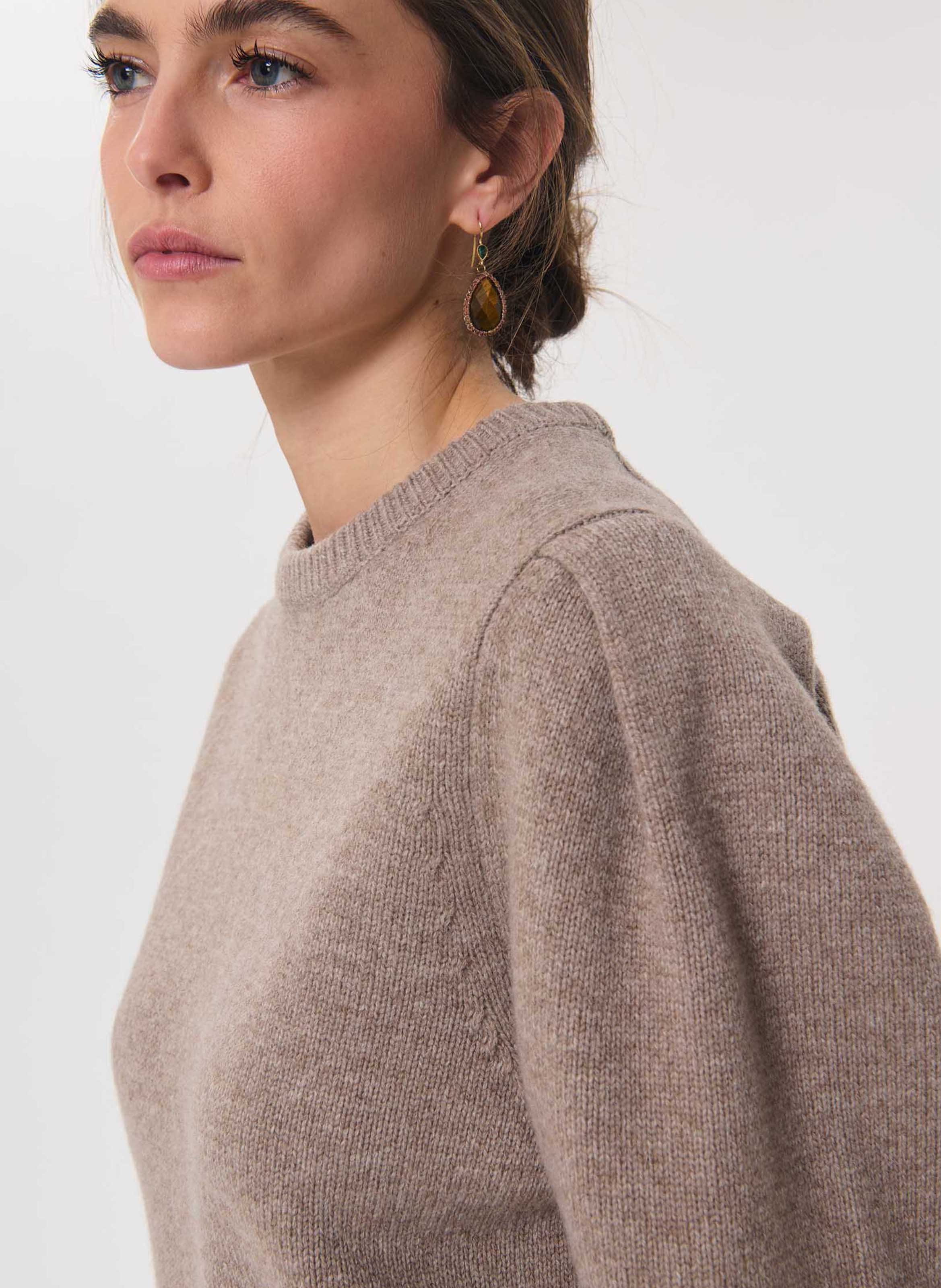 Round neck solid color wool blend sweater TARA JARMON Brown