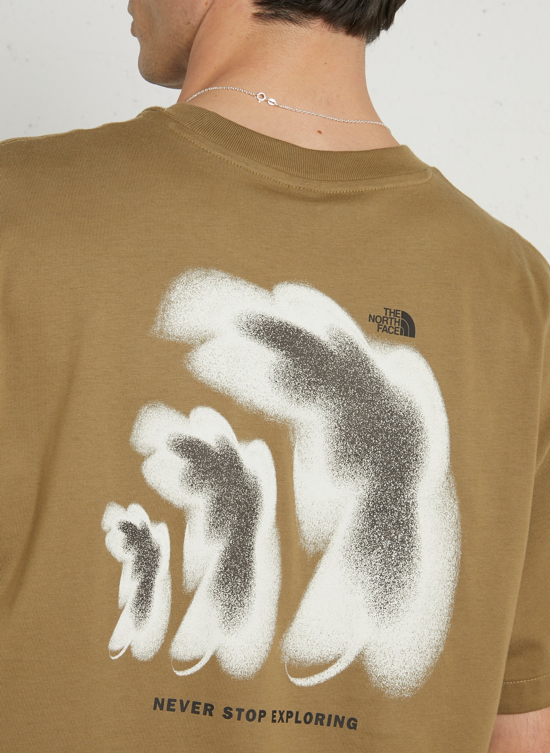 Straight round-neck cotton T-shirt with screen print THE NORTH FACE Brown