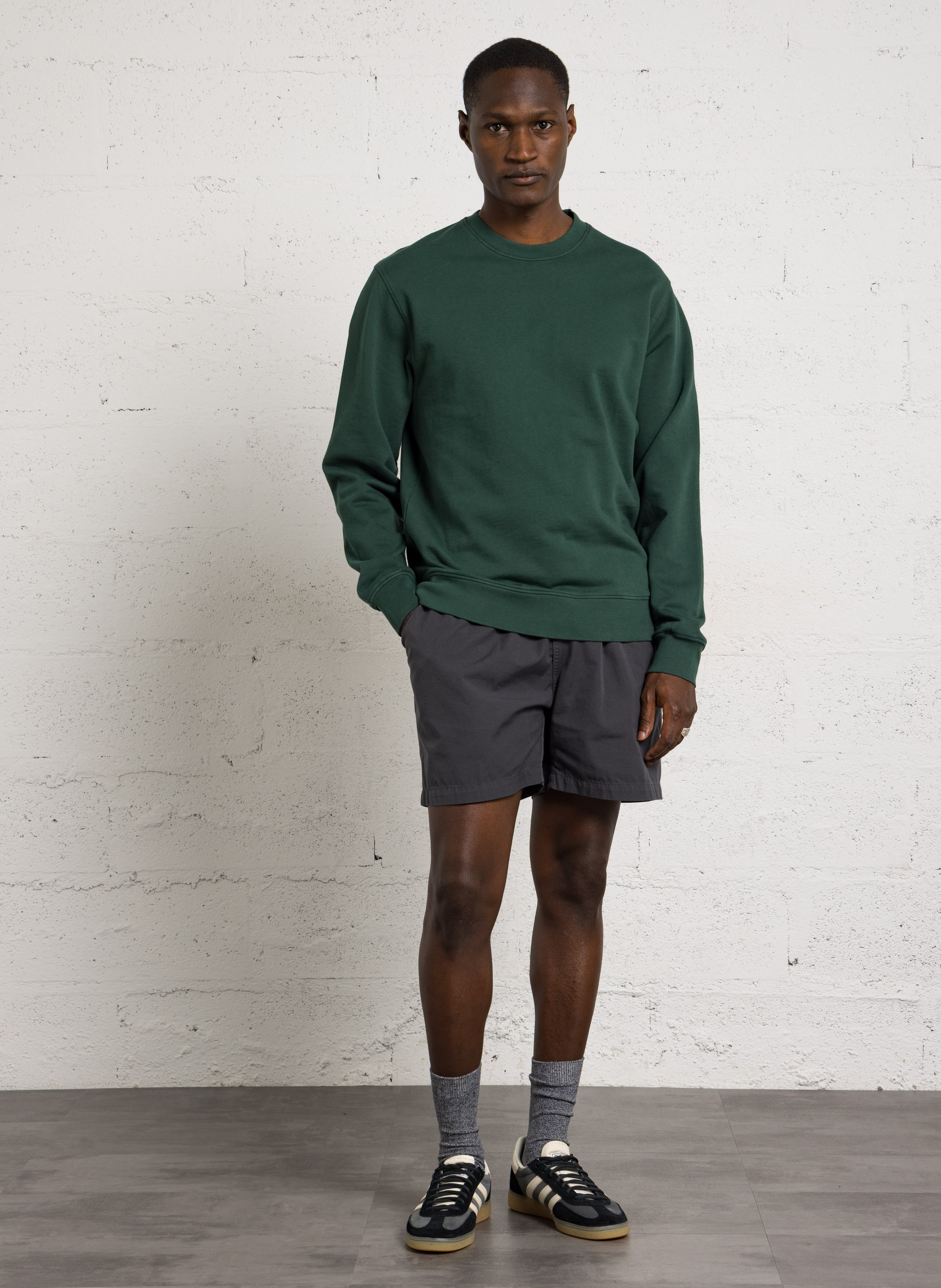 Rundhals-Sweatshirt aus Bio-Baumwolle, Regular Fit COLORFUL STANDARD Grun