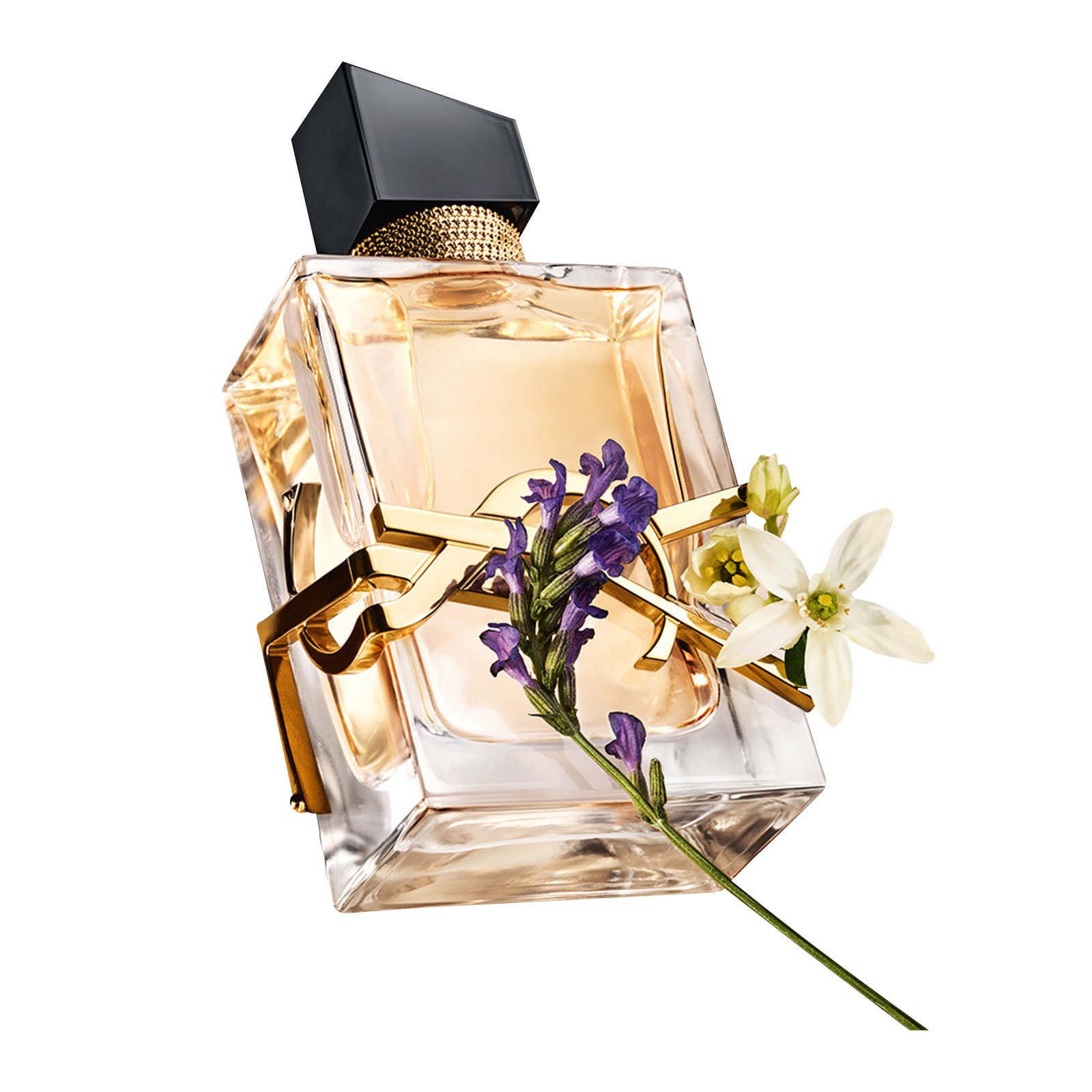 libre ysl note