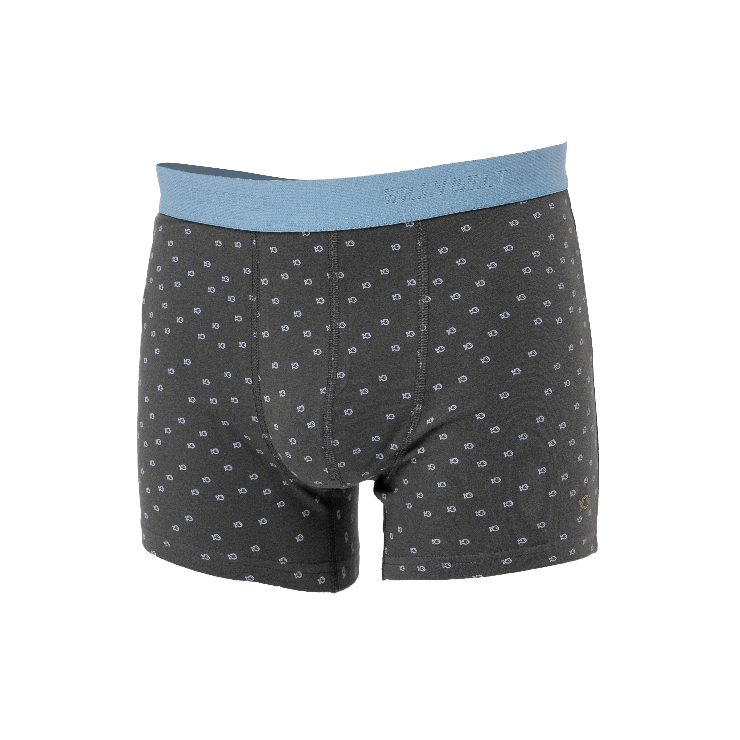 Organic cotton boxers BILLYBELT Grey
