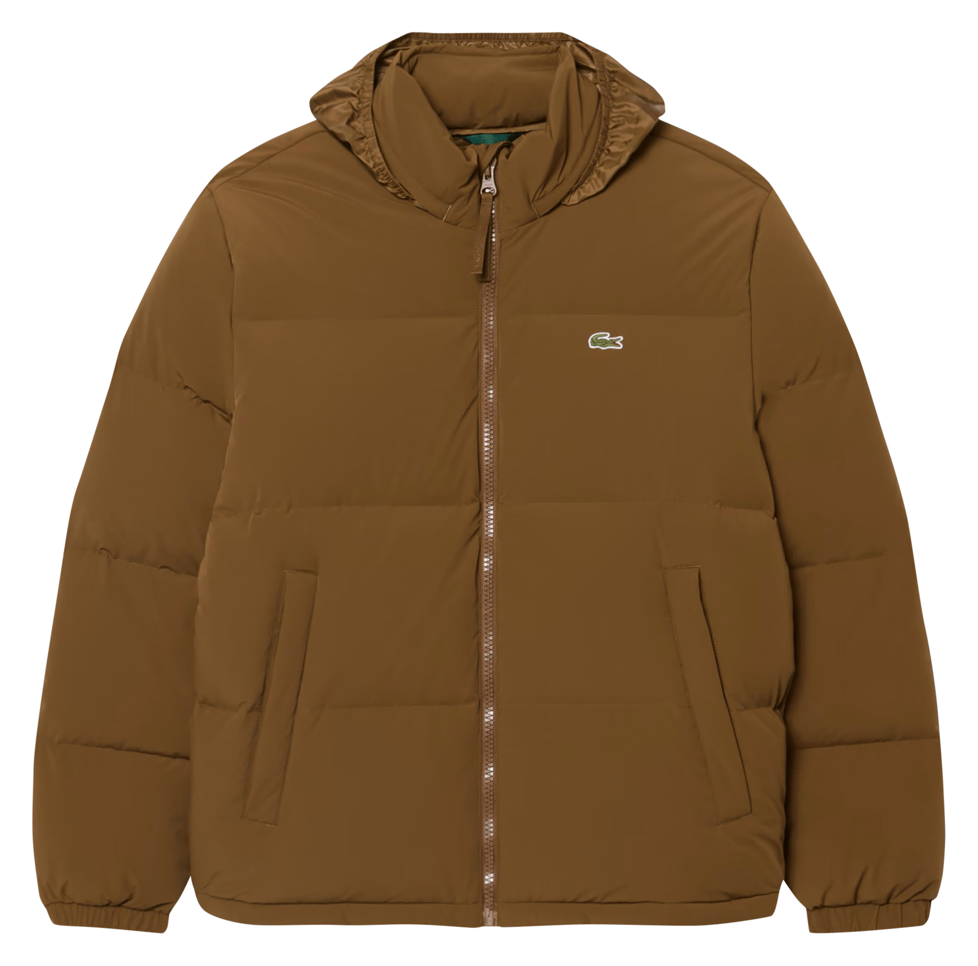 Straight quilted jacket with high collar and water-repellent hood LACOSTE Brown