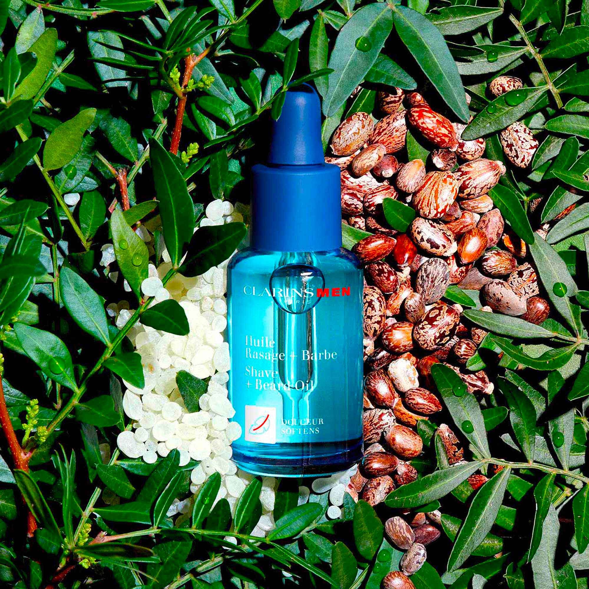 ClarinsMen Huile Rasage + Barbe CLARINS No color