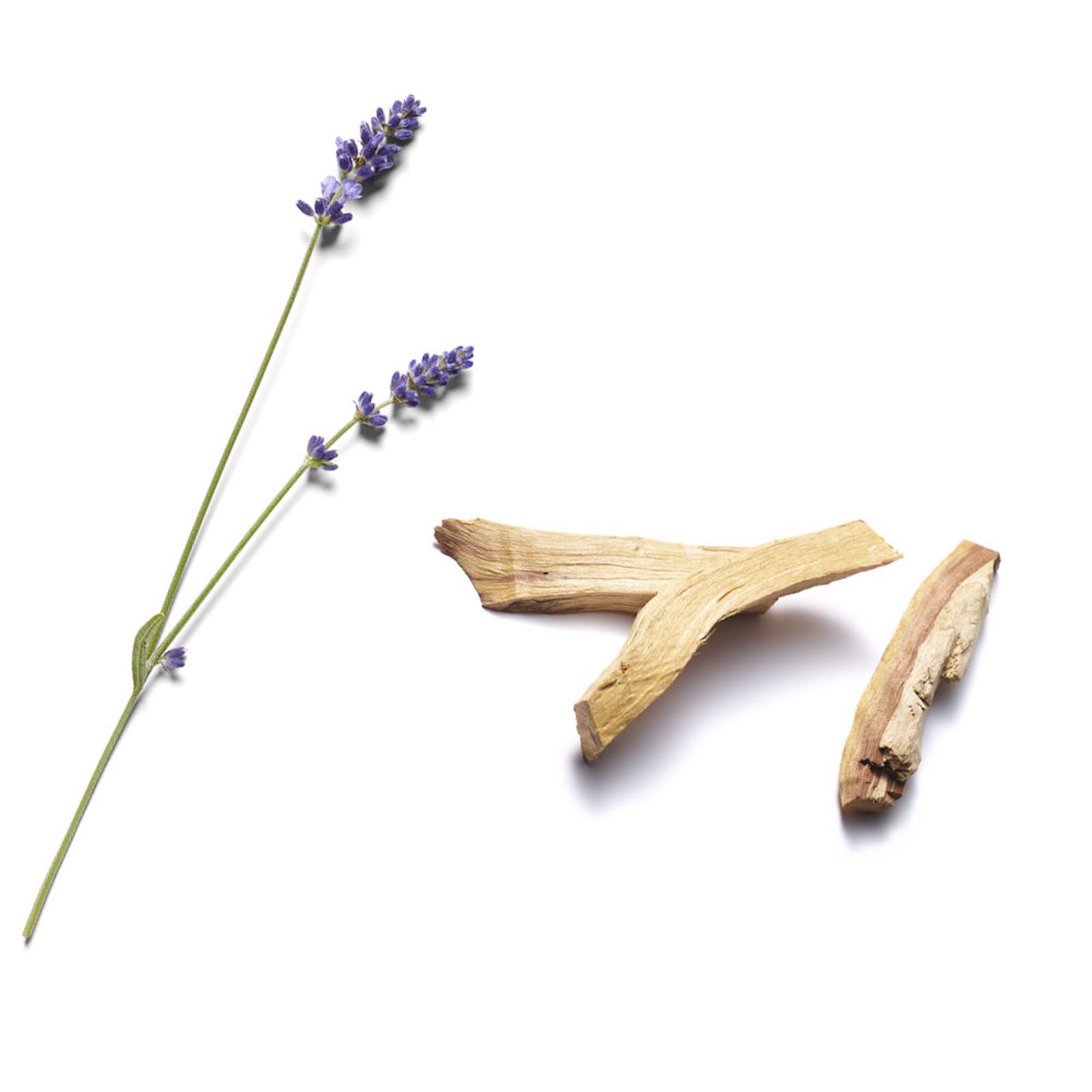 The Ritual of Jing Sleep - Duschschaum RITUALS No color