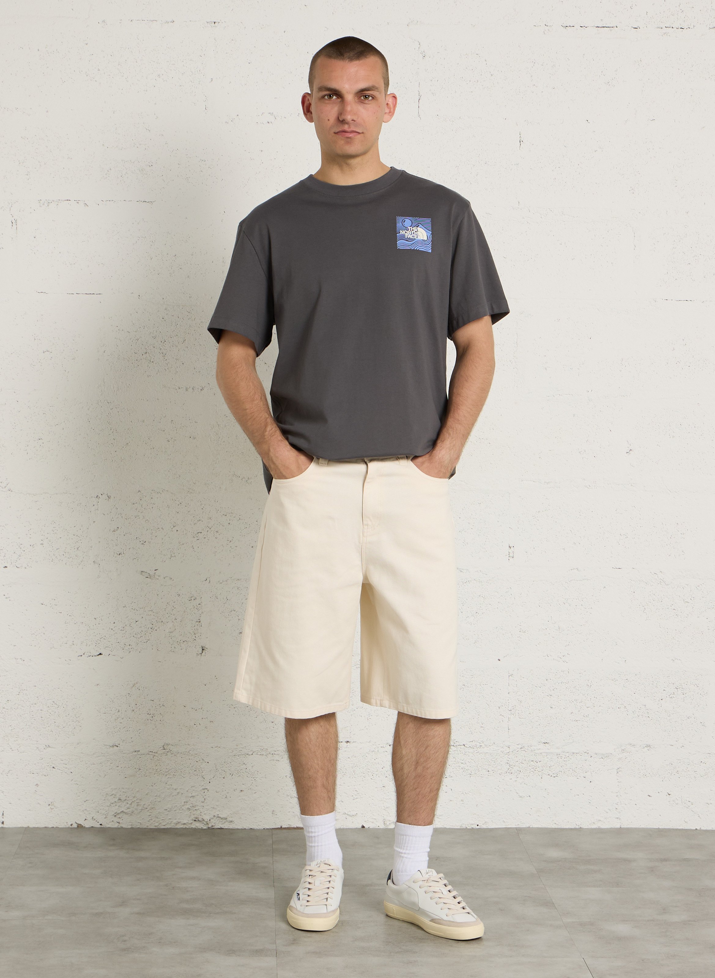 Oversize round-neck cotton T-shirt with screen print THE NORTH FACE Grey