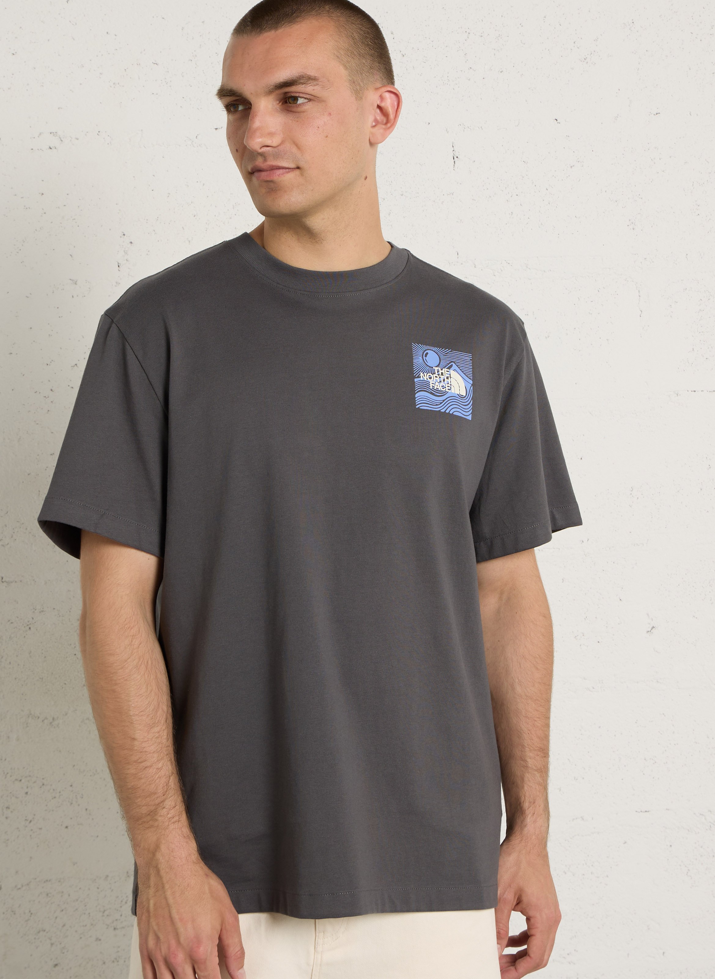 Oversize round-neck cotton T-shirt with screen print THE NORTH FACE Grey