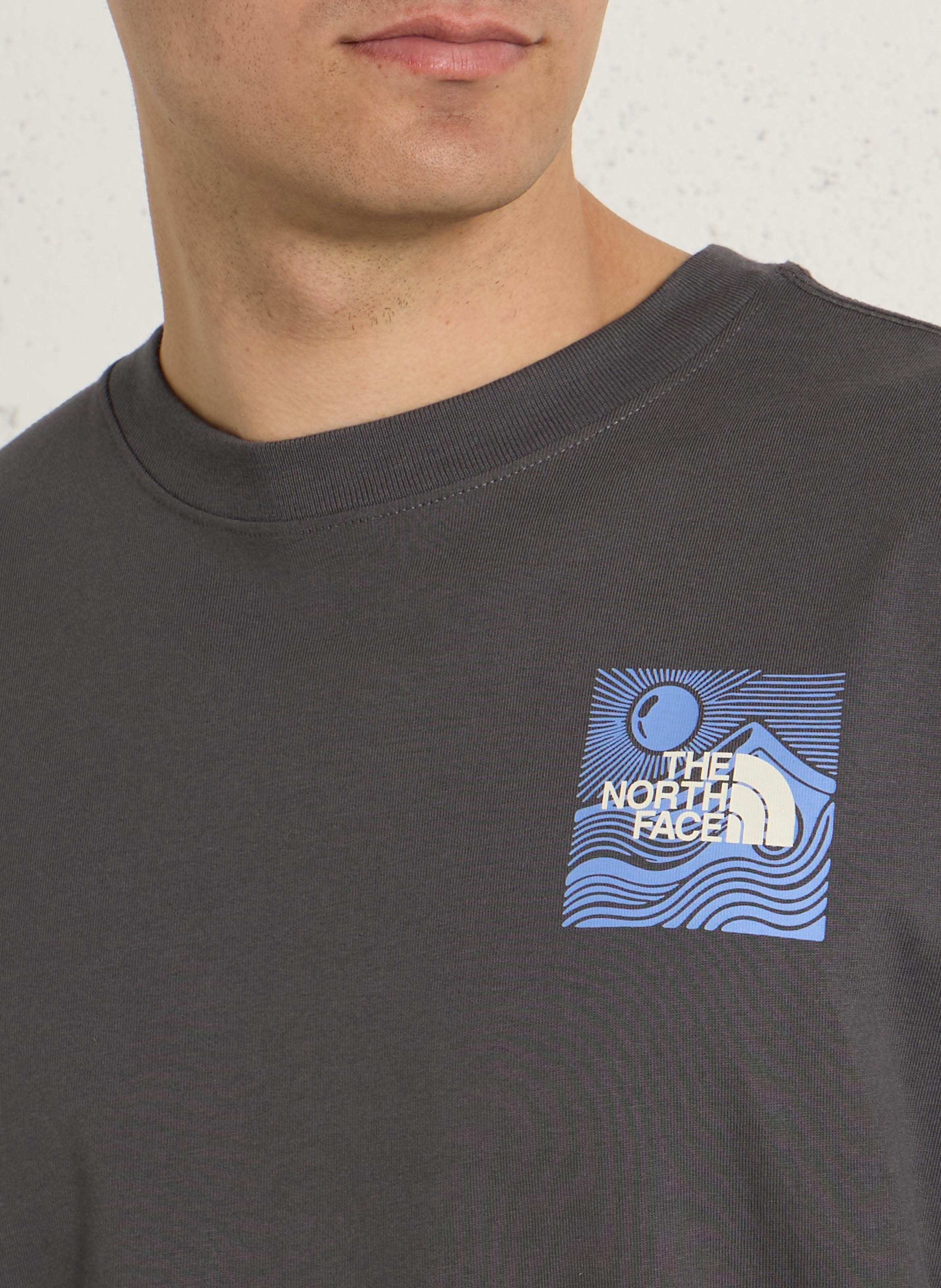 Oversize round-neck cotton T-shirt with screen print THE NORTH FACE Grey