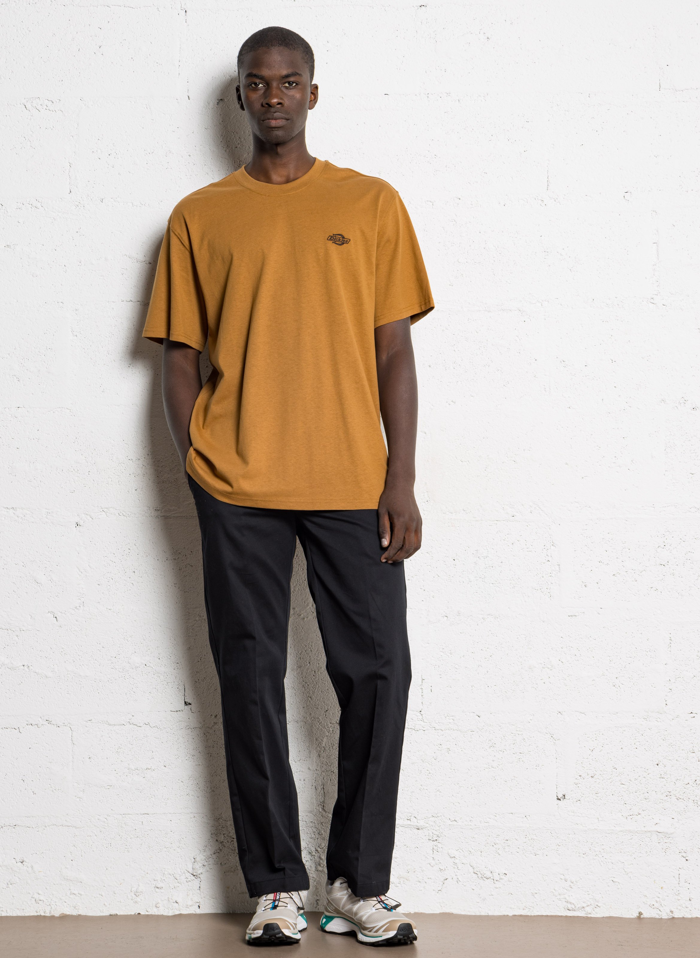 Tee-shirt col rond en coton DICKIES Marron