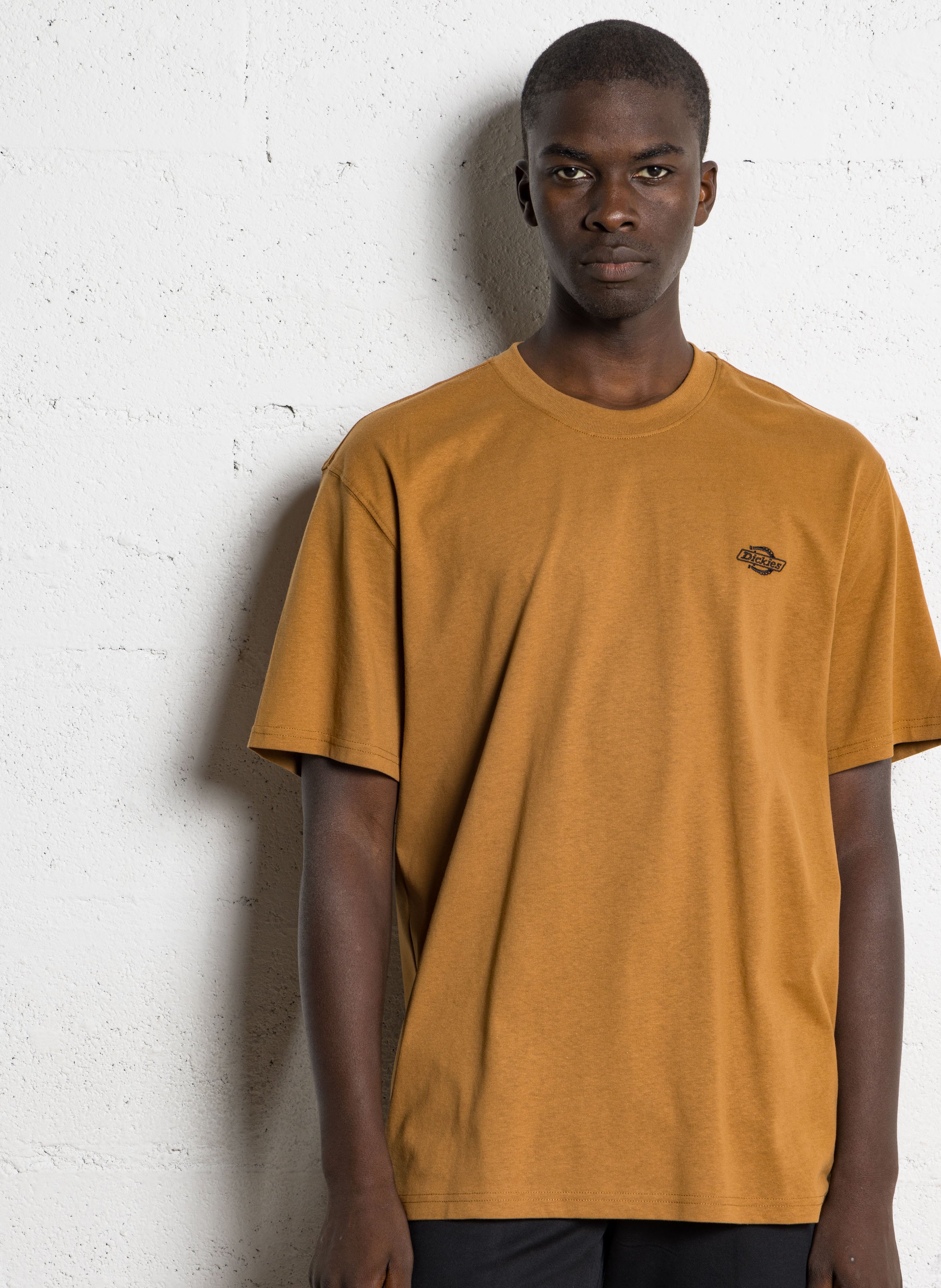 Tee-shirt col rond en coton DICKIES Marron