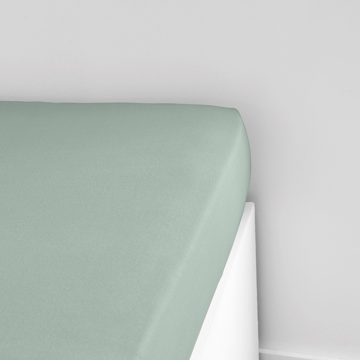 Solid color fitted sheet in cotton Green