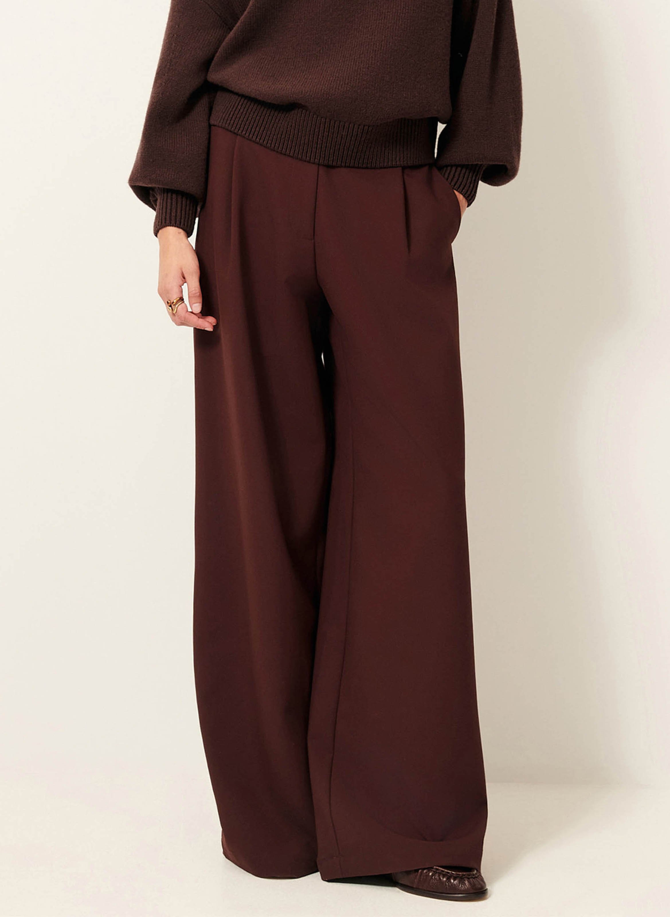 Wide-leg high waist pleated pants SESSUN Brown