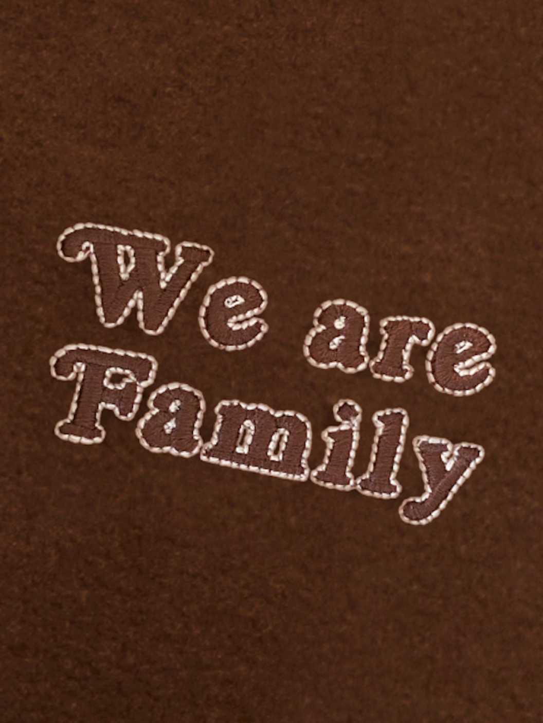 Le hoodie we are family adulte en polaire recyclée EMOI EMOI Marron