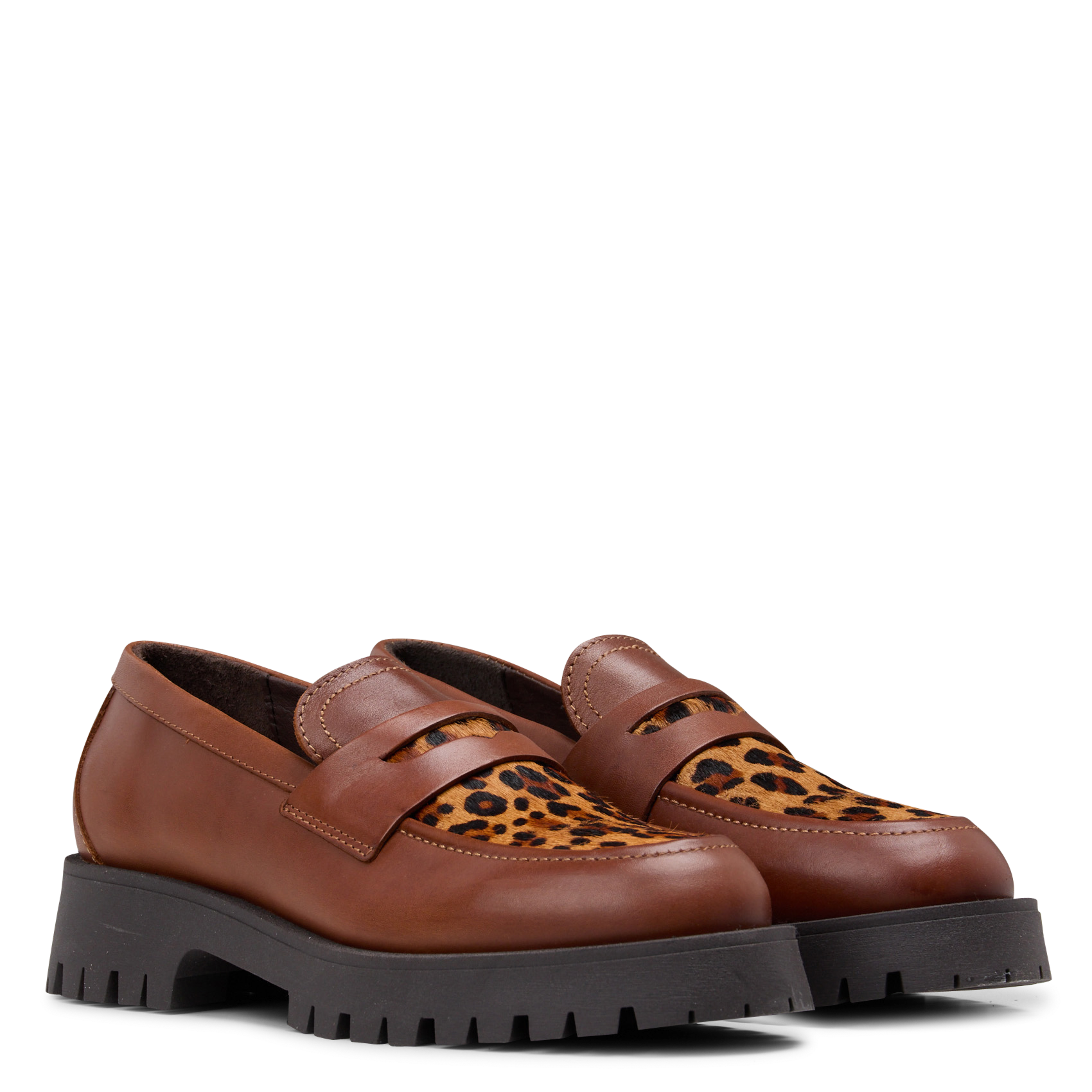 . LA FEE MARABOUTEE Bruin