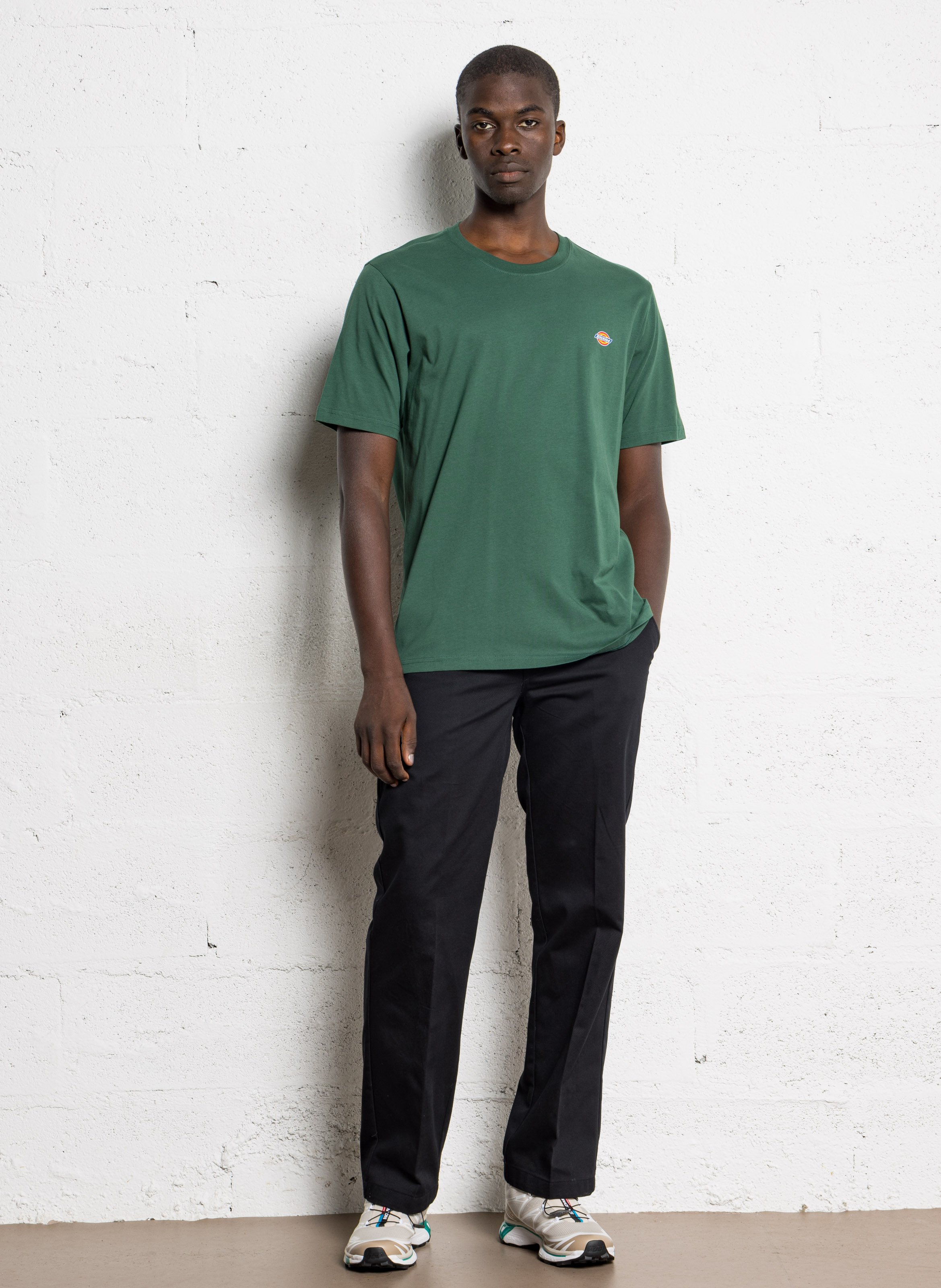 NE PAS REF, MAUVAISE SAISON! DICKIES Groen