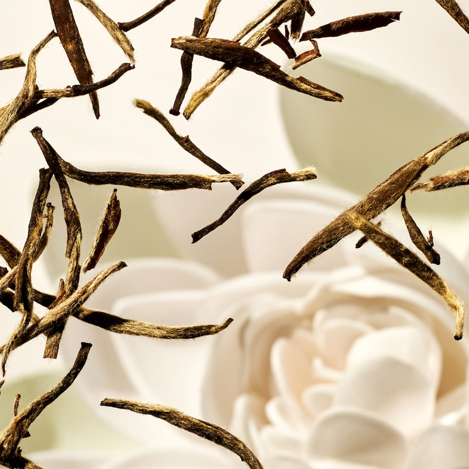 The Ritual Of Karma Sun - Crème Solaire Visage SPF 30 RITUALS No color