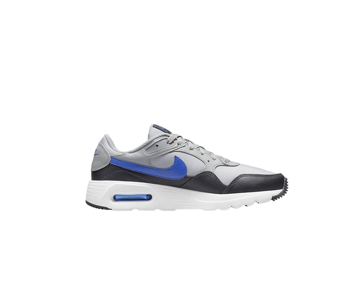 Baskets basses NIKE Gris