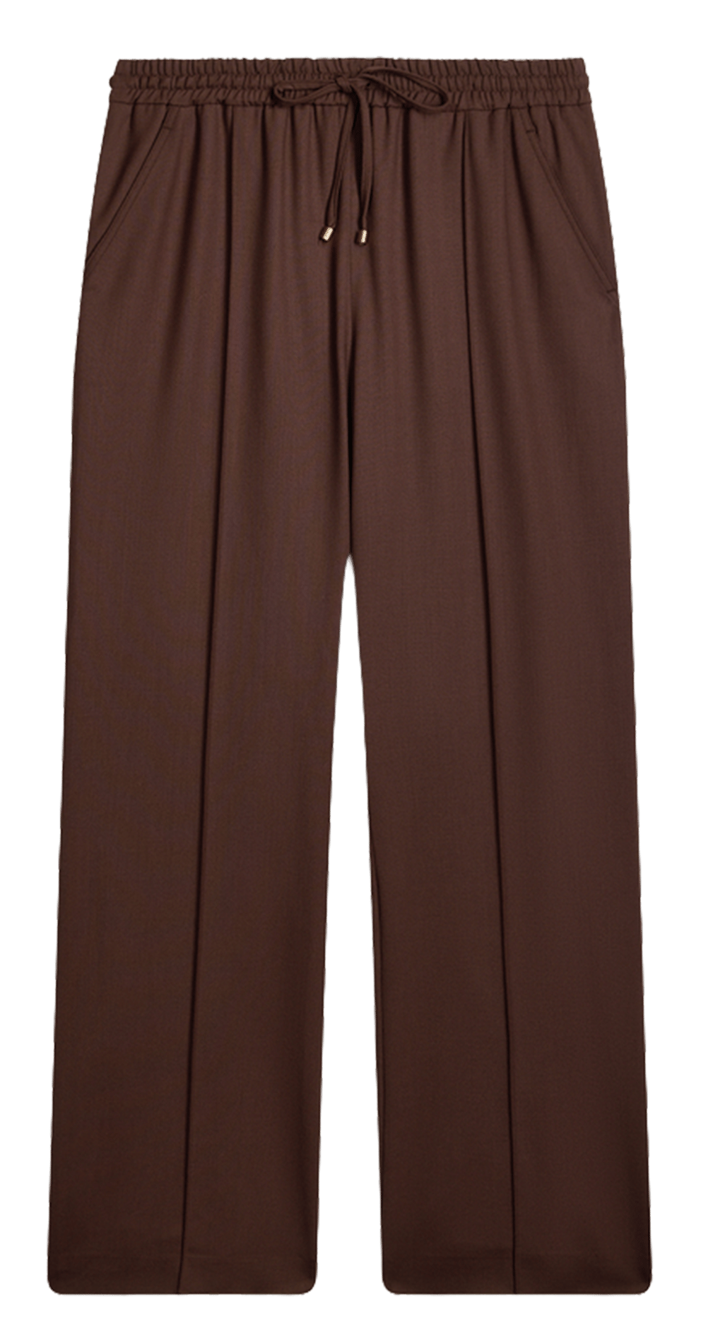 Fluid and lightweight pleated trousers | Brown VANESSA BRUNO Women