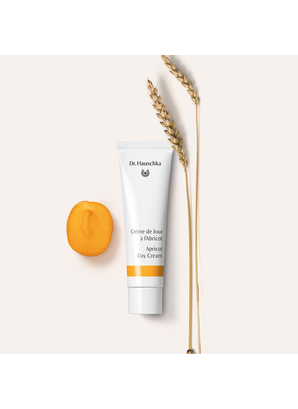 Coffret Noël 2026 Rituel Éclat DR. HAUSCHKA No color