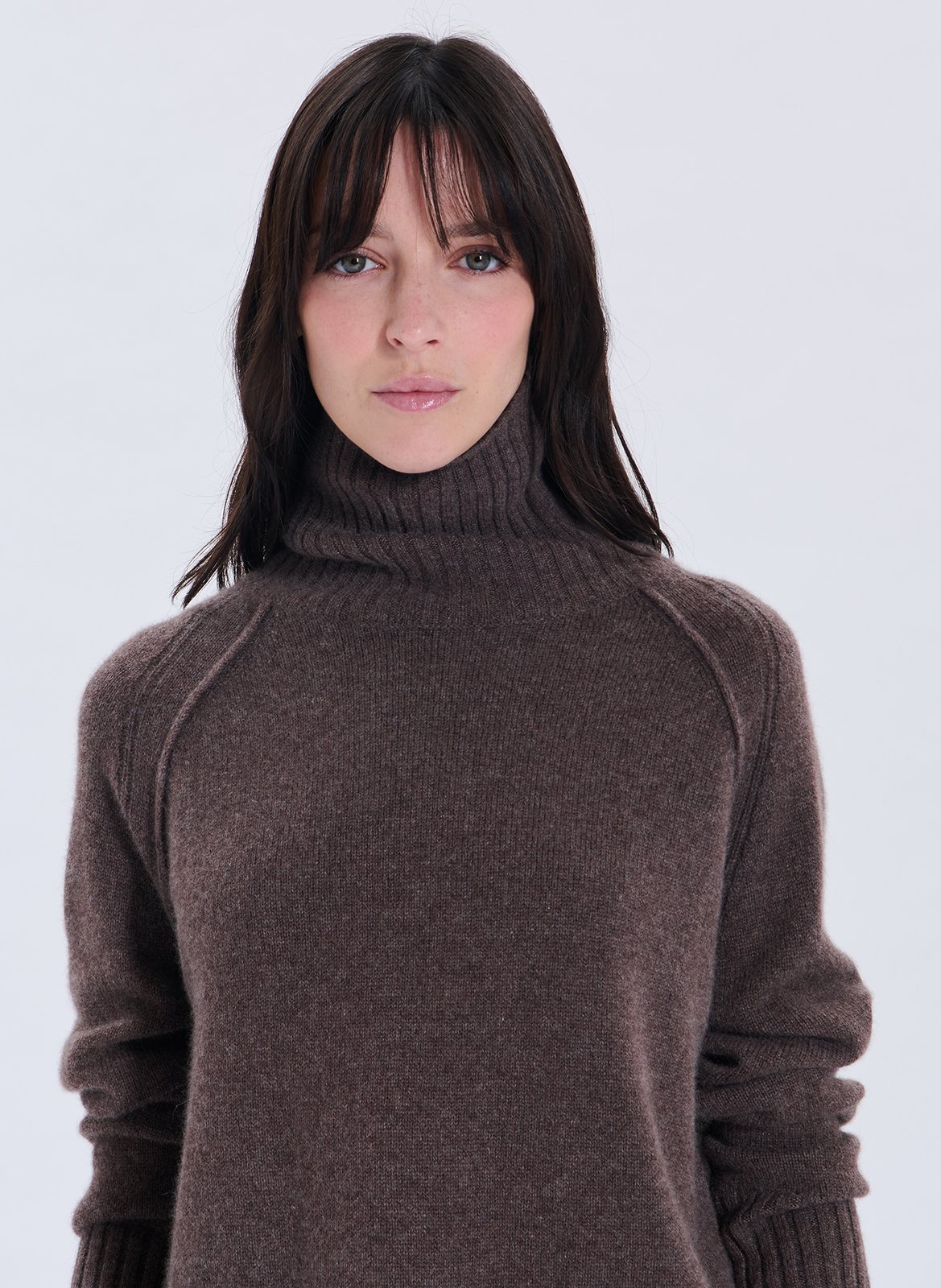 Pull col roulé en cachemire ZAPA Marron