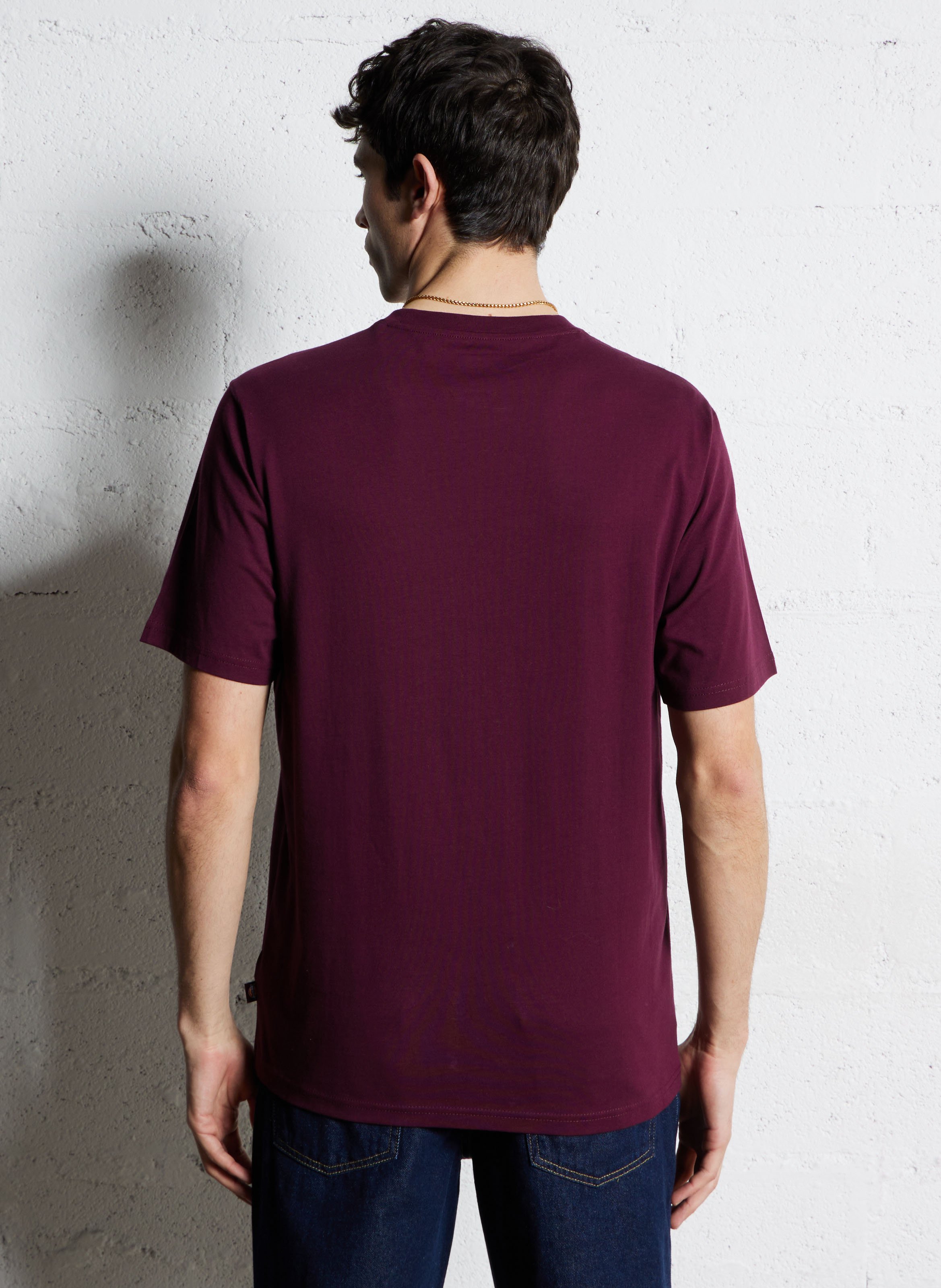 Tee-shirt droit col rond en coton DICKIES Marron