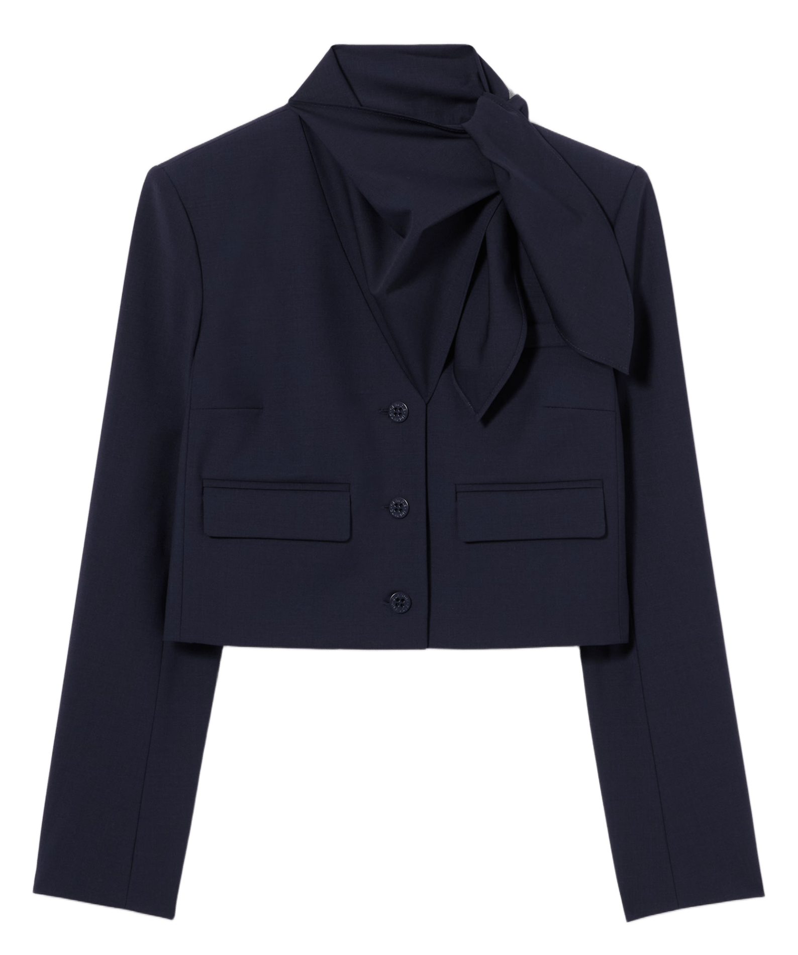 Getailleerd jasje CLAUDIE PIERLOT Blauw