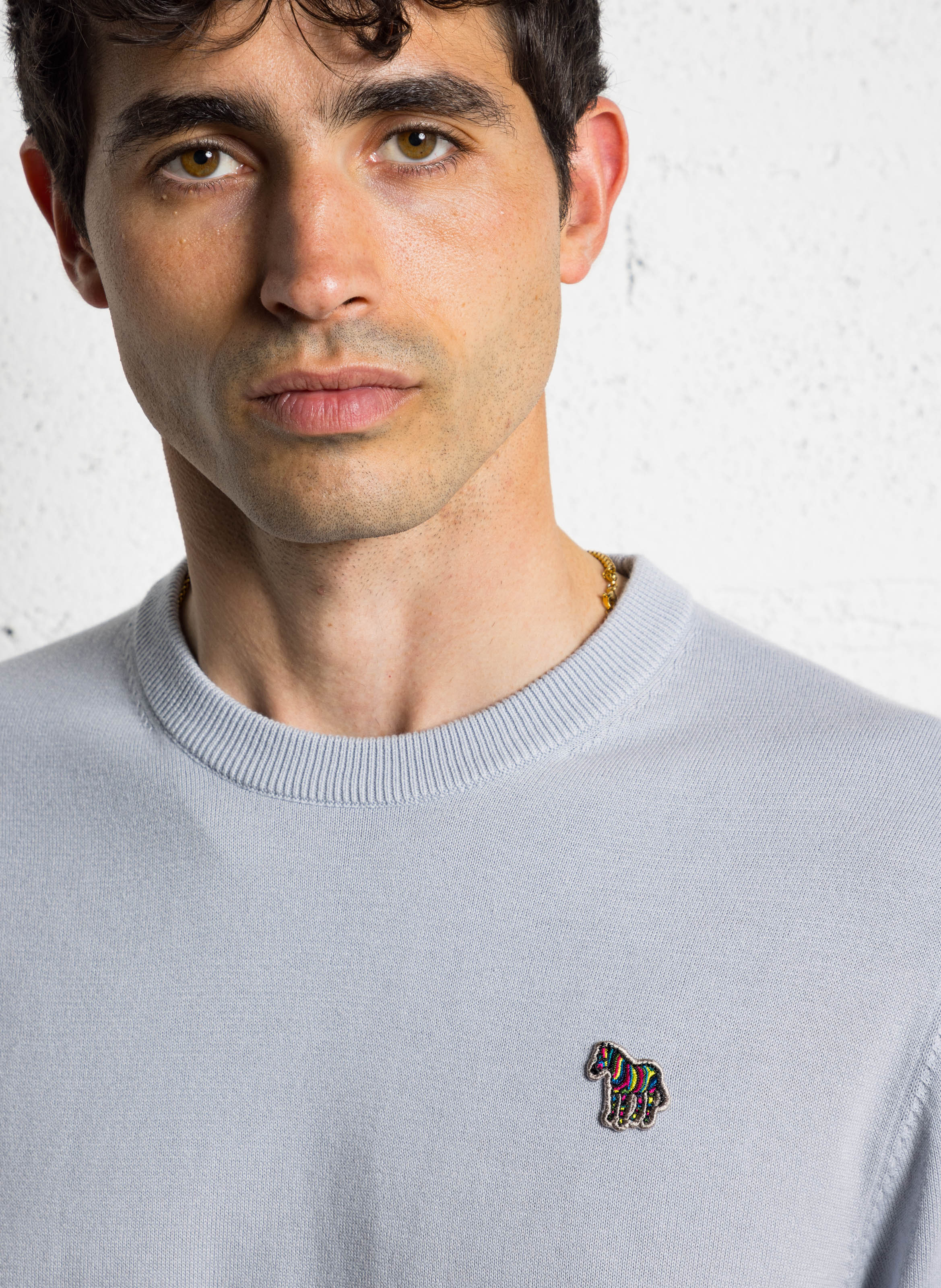 Gerade geschnittener Rundhalspullover aus Bio-Baumwolle PAUL SMITH Grau