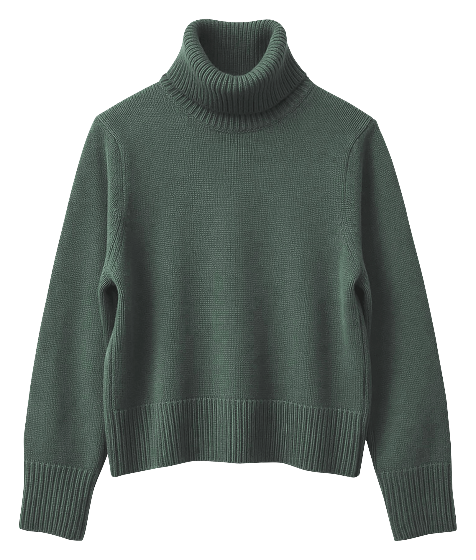 Oversized turtleneck sweater TARA JARMON Green