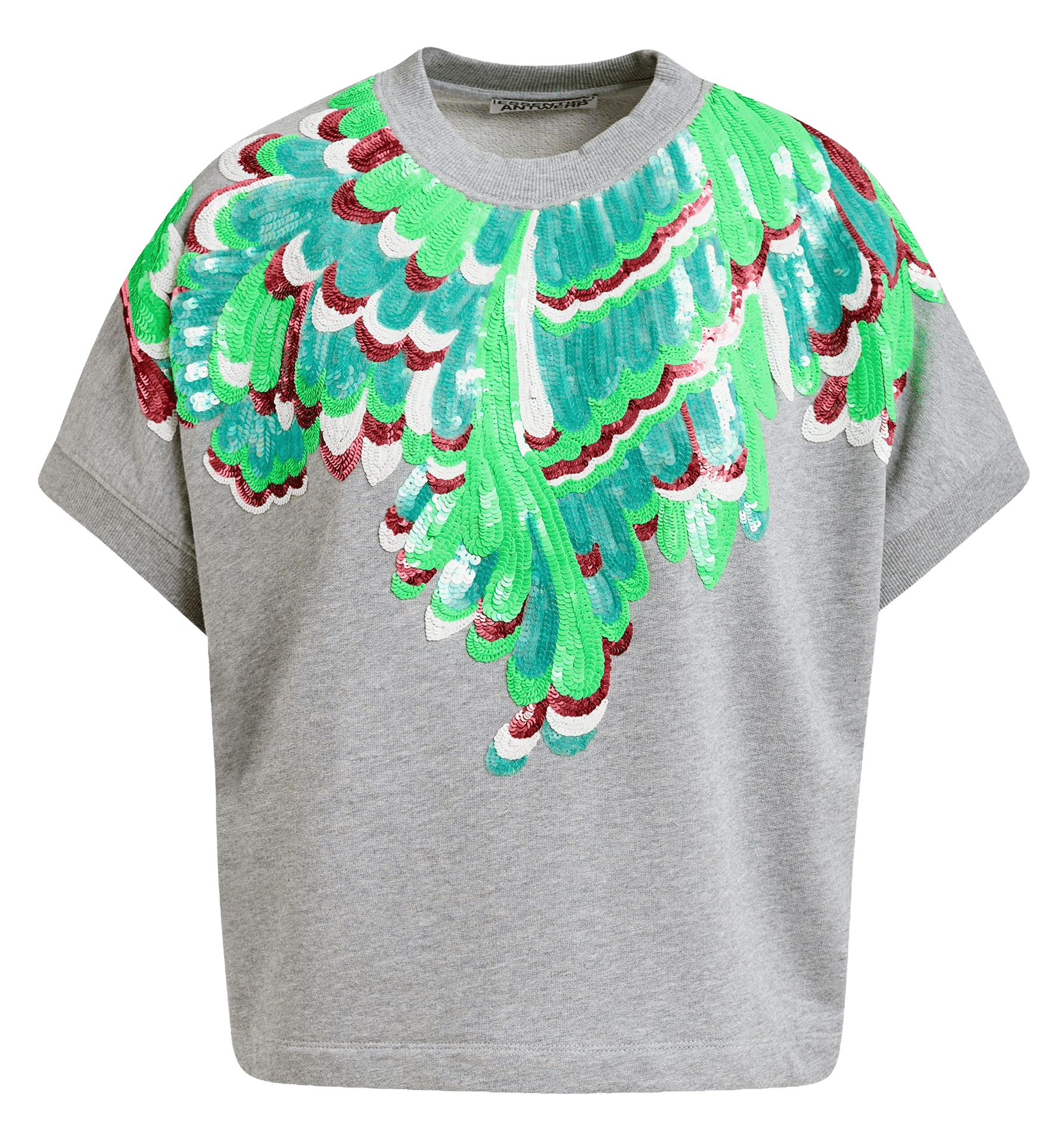 Oversized cotton sweatshirt with round neck JOLIES Gris multicolore