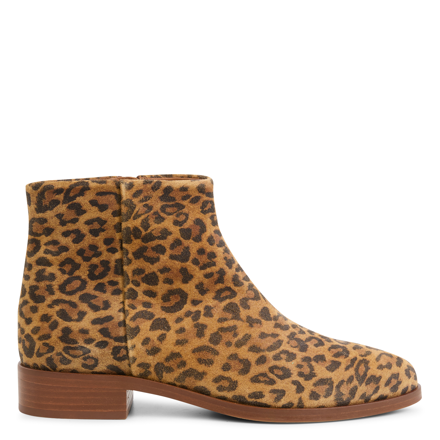 Bottines en cuir BOBBIES Multicolore