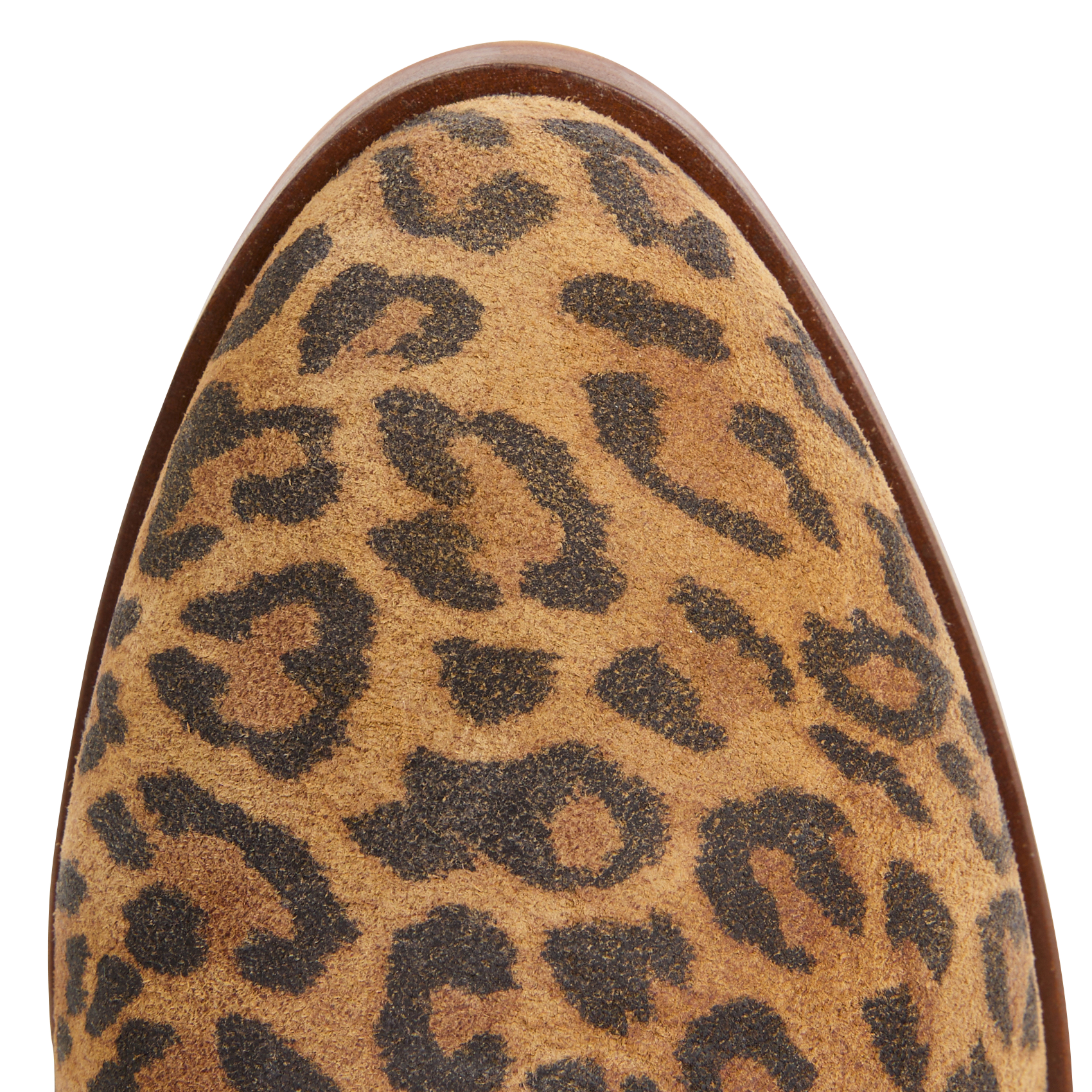 Bottines en cuir BOBBIES Multicolore