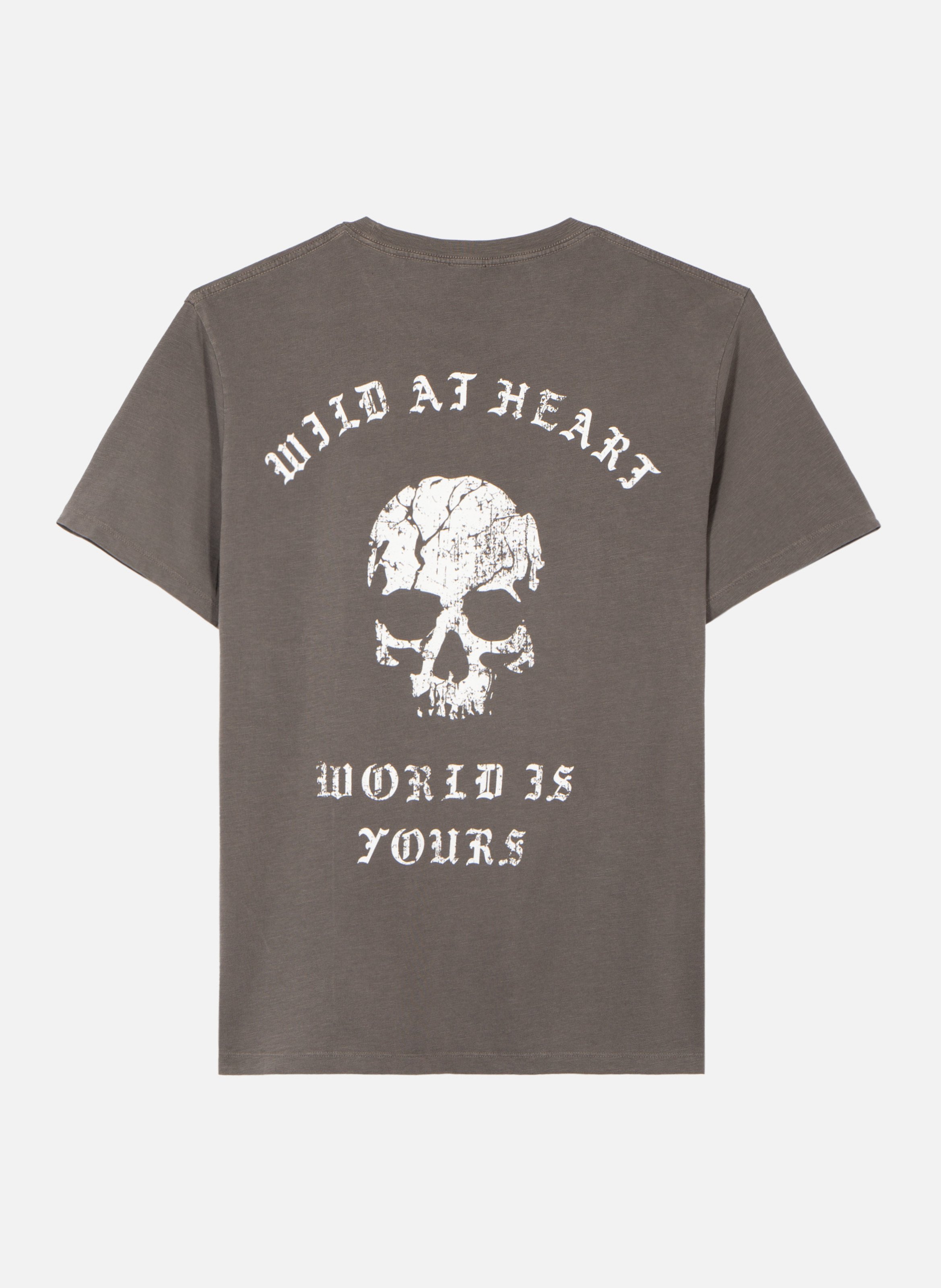 T-shirt with skull screen print THE KOOPLES Grey