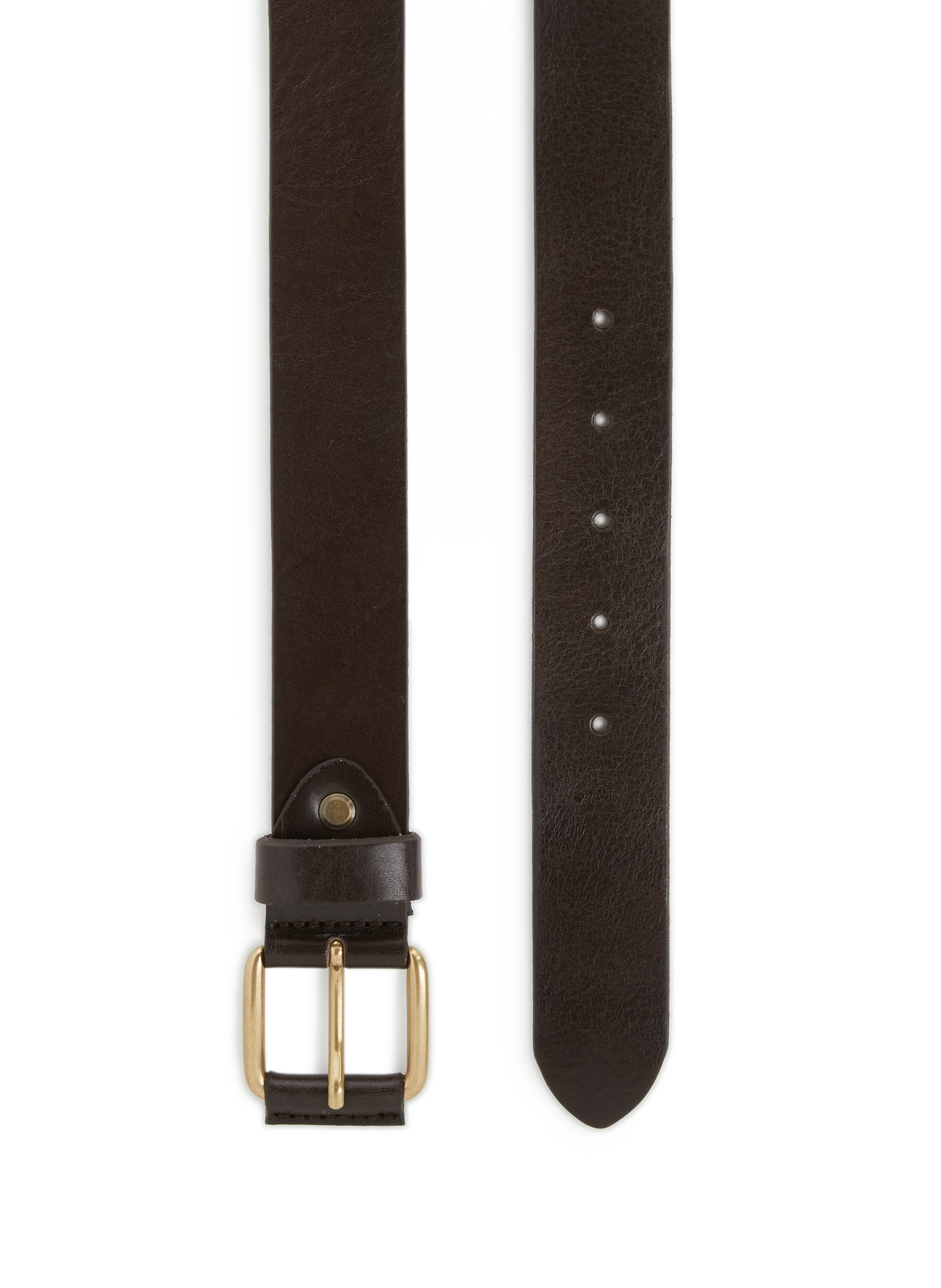 Leather belt cei nia 15644/40 choco 35mm brass buckle AU PRINTEMPS PARIS Brown