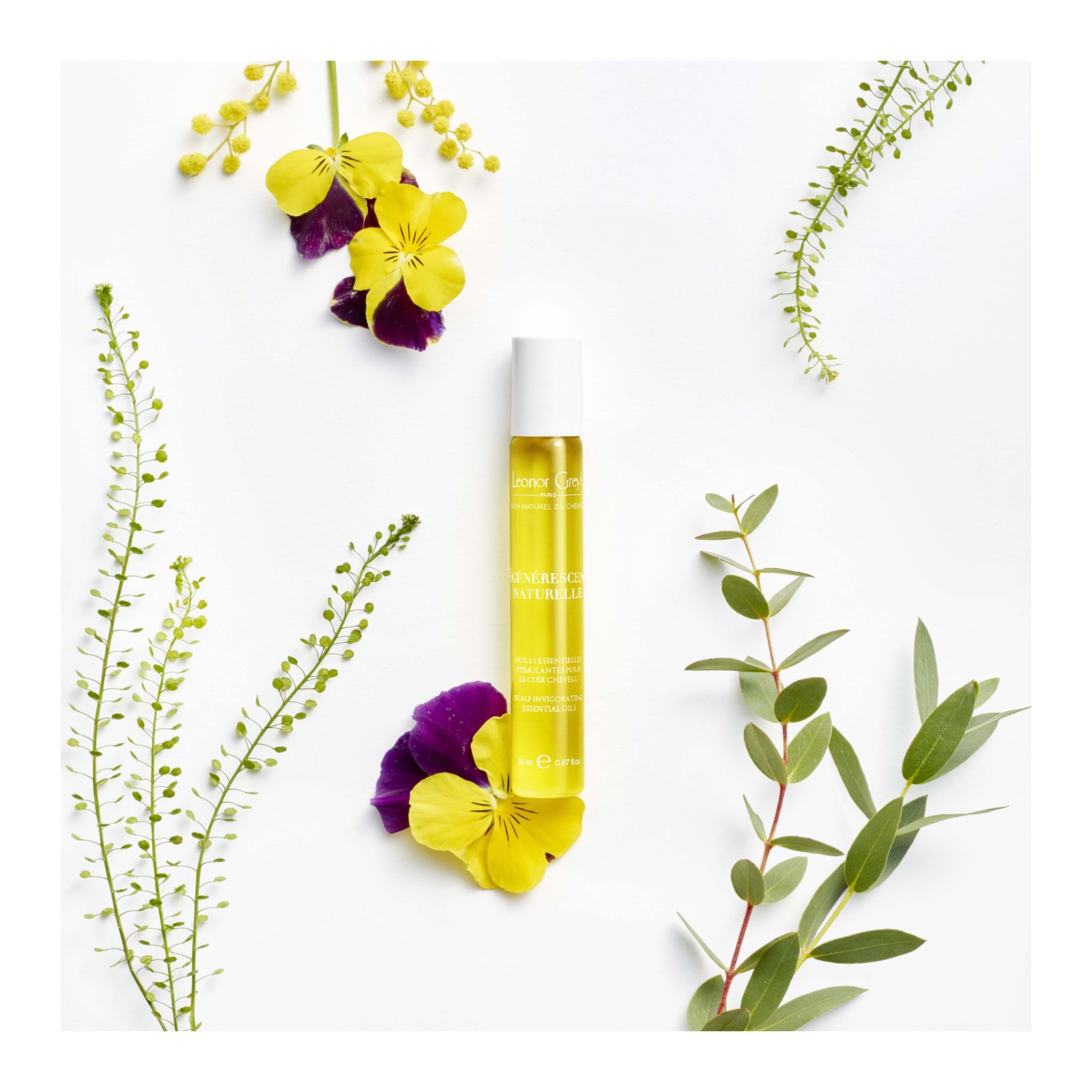 REGENERESCENCE NATURELLE LEONOR GREYL No color