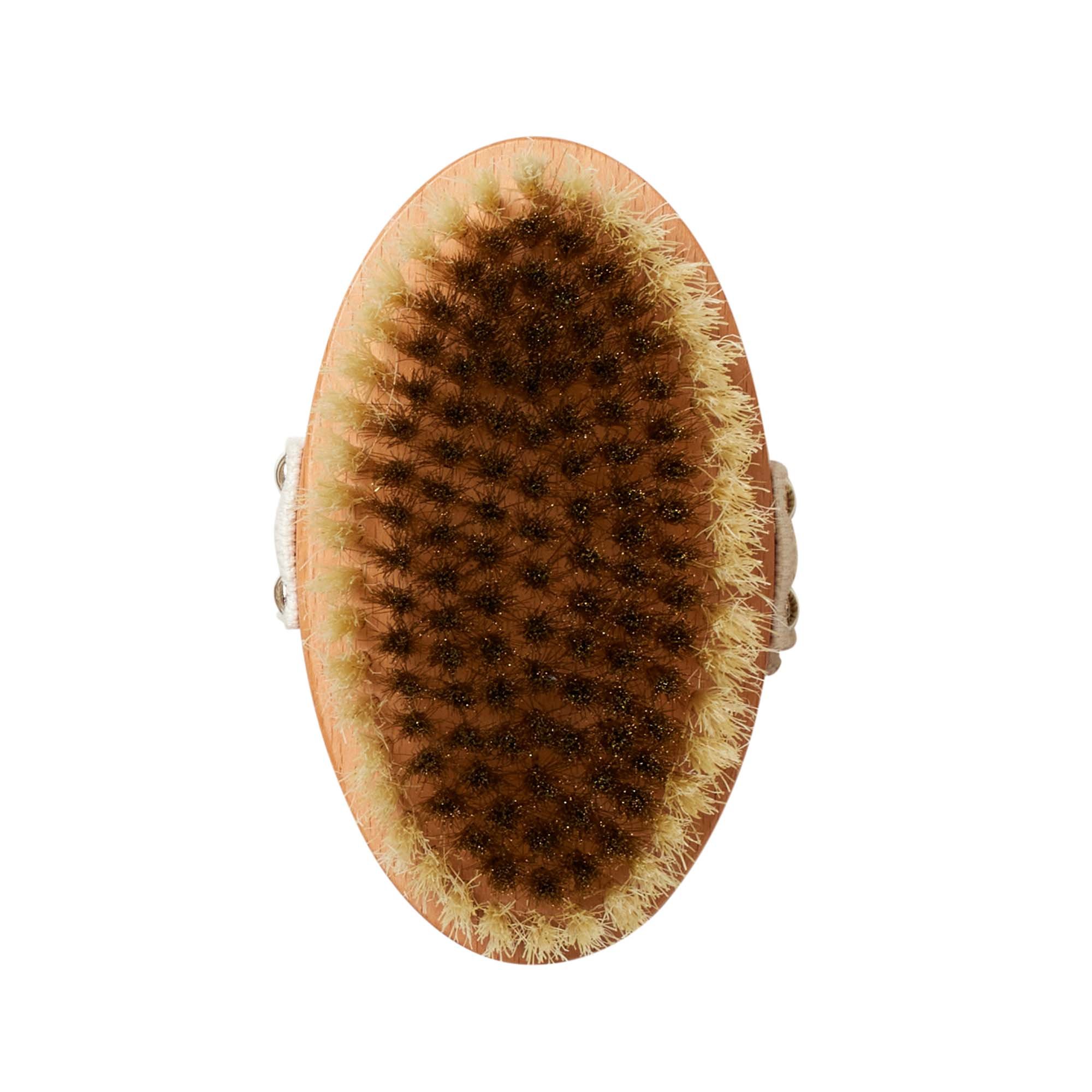 La Brosse Energisante ABSOLUTION No color