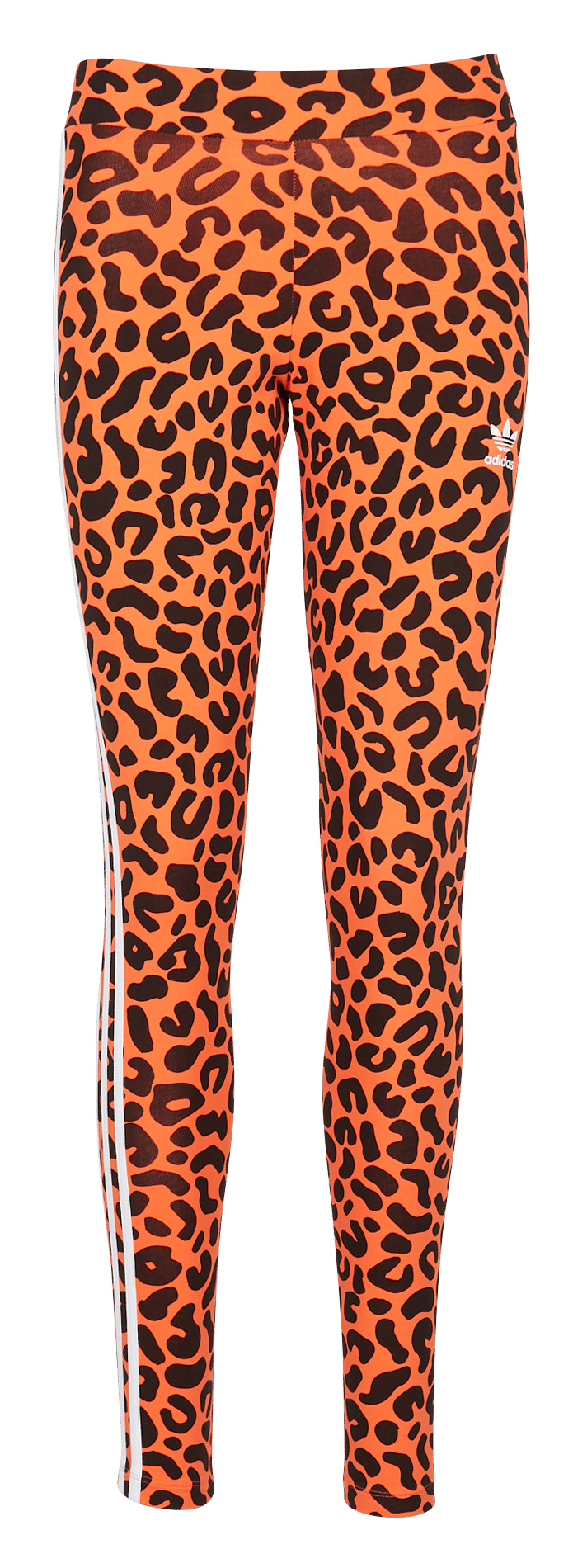 Leggings In Cotone Con Stampa Leopardata Truora/black Adidas - Donna |  Place des Tendances