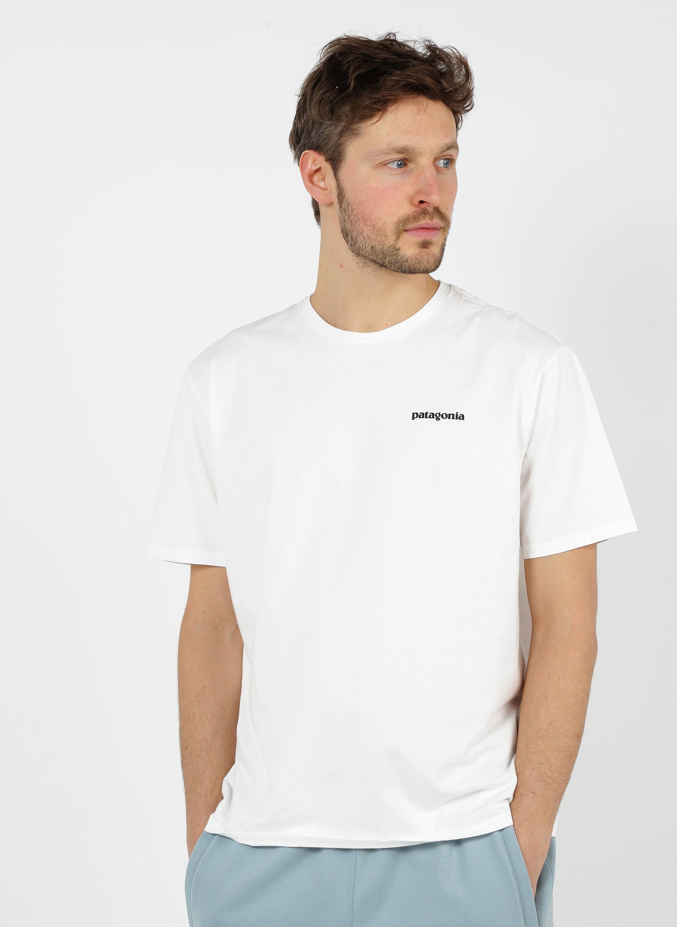 T shirt patagonia uomo on sale