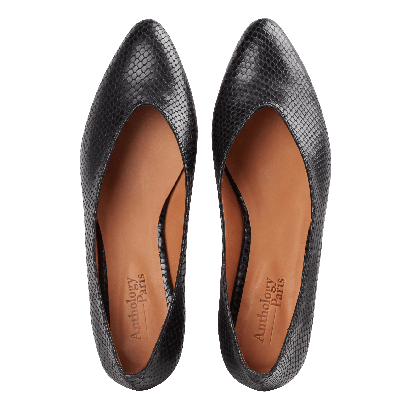 Leren Ballerina's Met Spitse Neus En Reptielmotief Noir Anthology Paris -  Dames | Place des Tendances