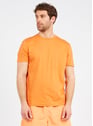 BRUMMELL ORANGE Oranje