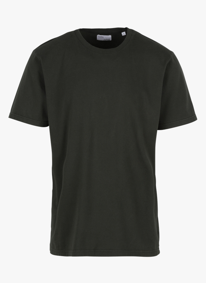 COLORFUL STANDARD T-shirt van biokatoen met ronde hals | Groen