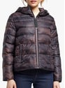 COP.COPINE CUIVRE Bruin