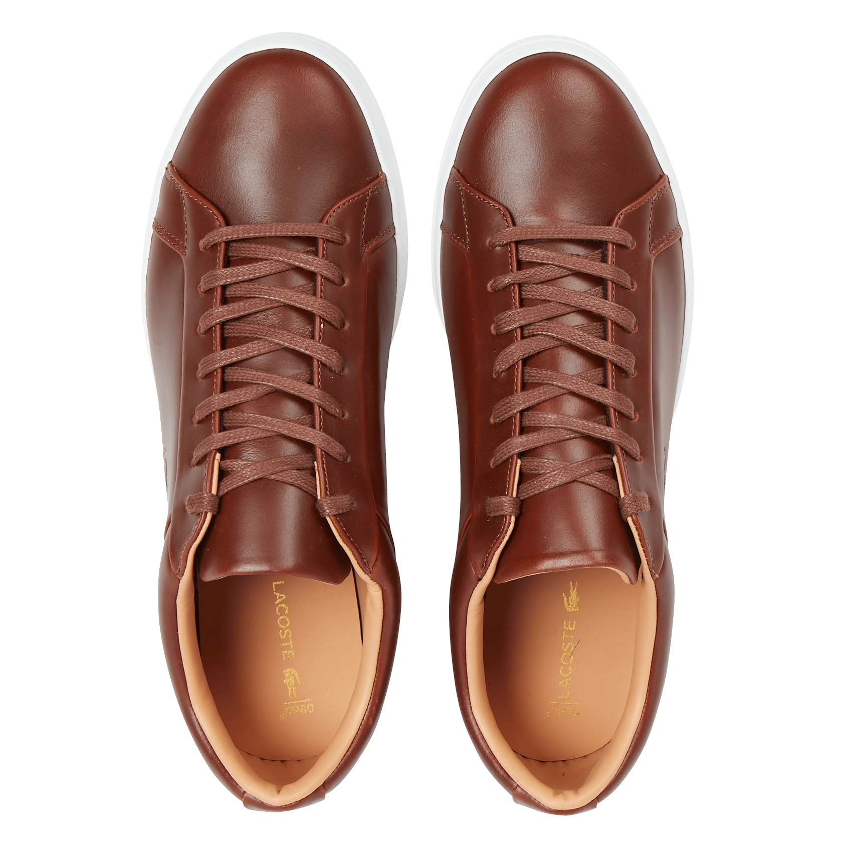 Leren Sneakers - Lerond Brw/wht Lacoste - Heren | Place des Tendances