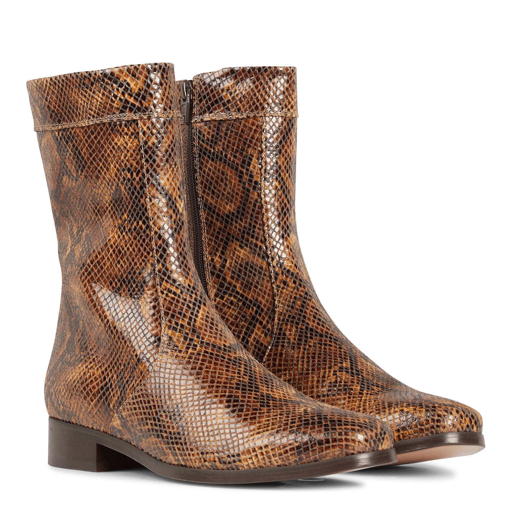 Leren Enkellaarzen Met Slangenprint Python Soeur - Dames | Place des  Tendances