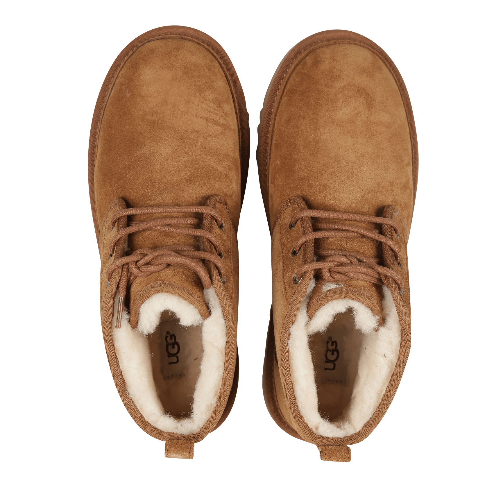 Leren Veterlaarsjes Chestnut Ugg - Dames | Place des Tendances
